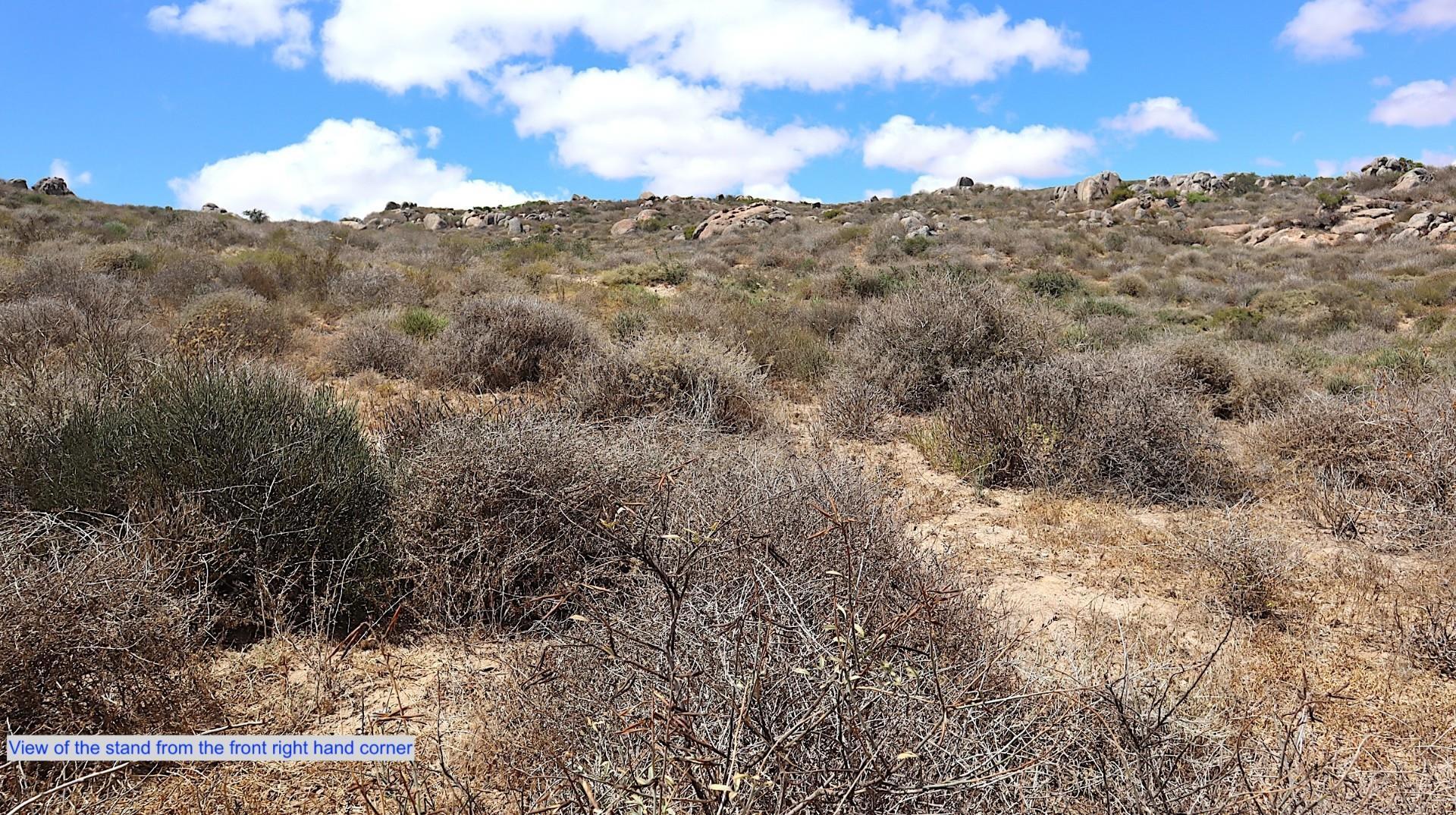 Image 4 of 6