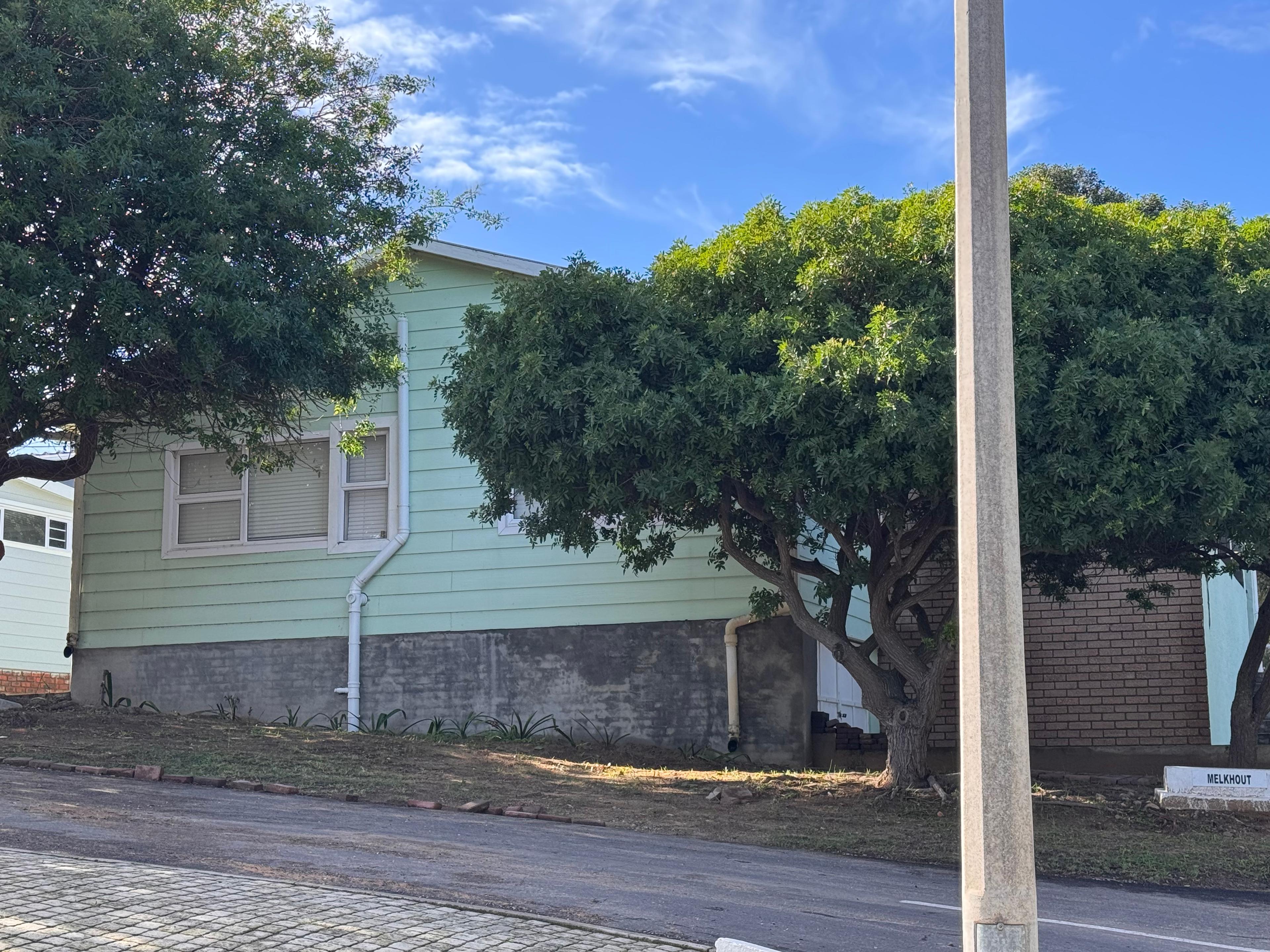 Image 12