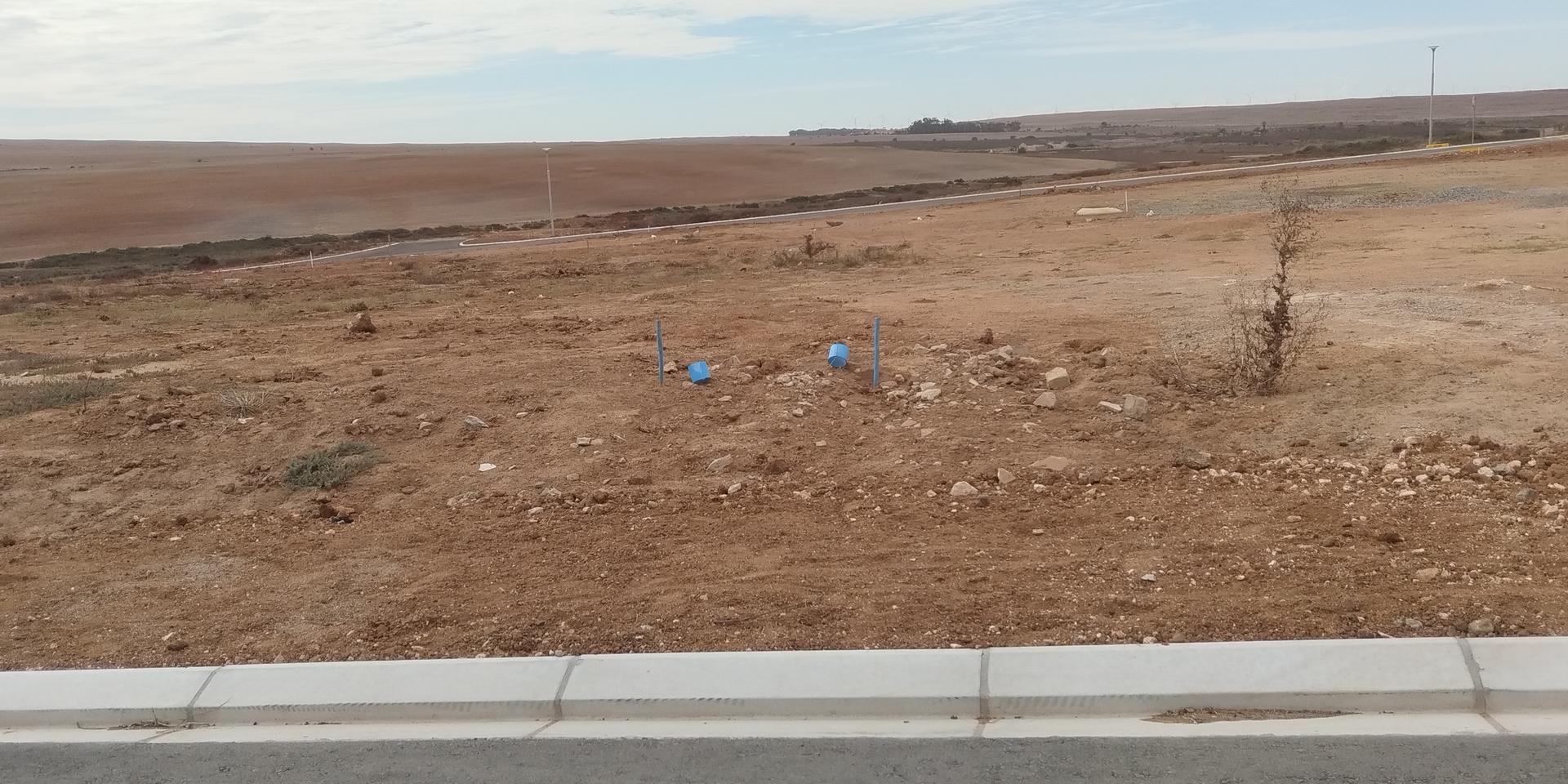 Image 4 of 6