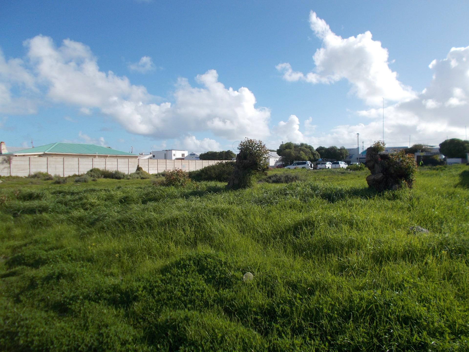 Image 5 of 6