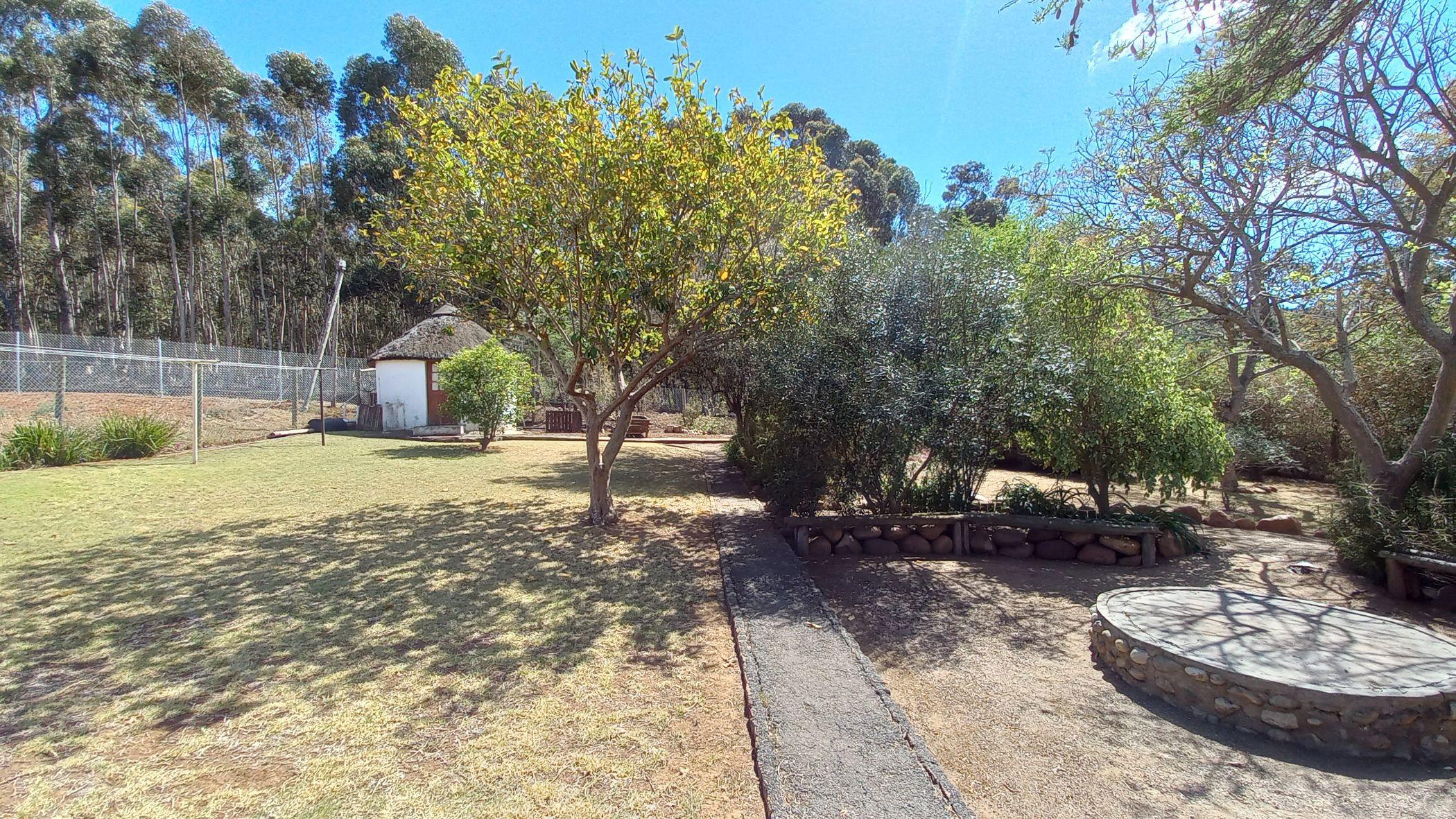 Image 53