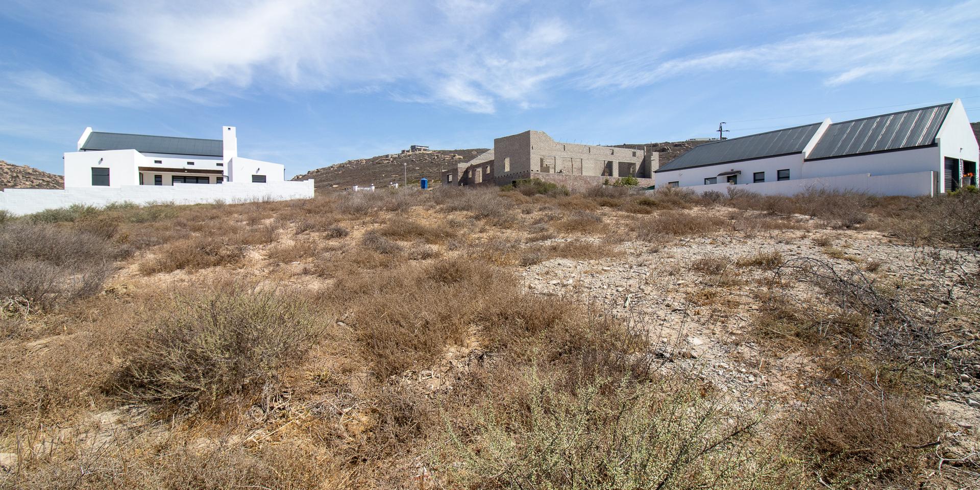 Image 4 of 6