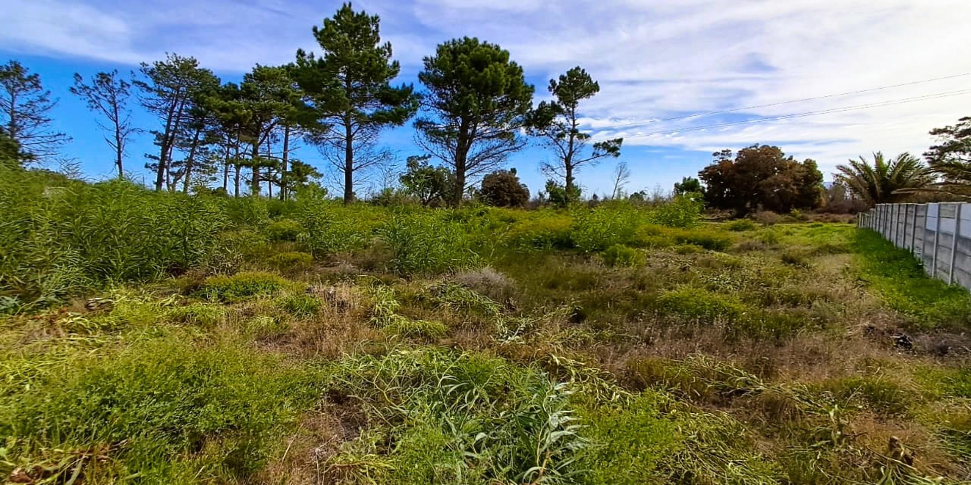 Image 4 of 6