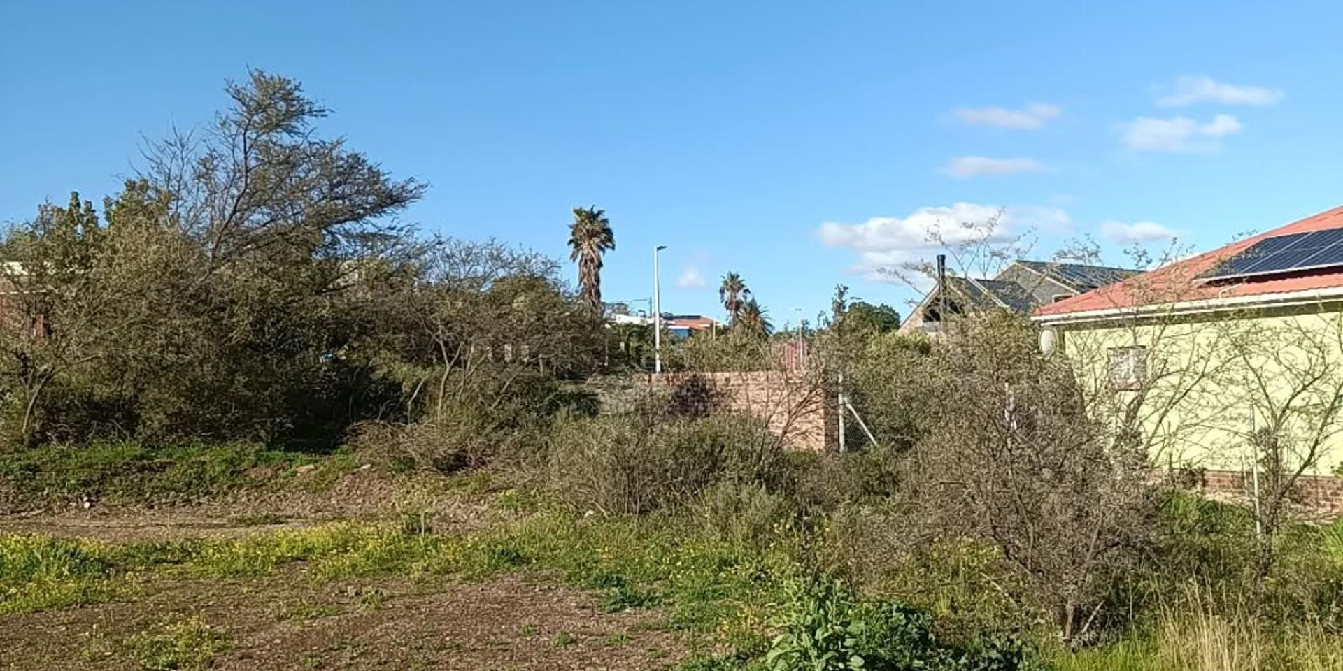Image 5 of 6
