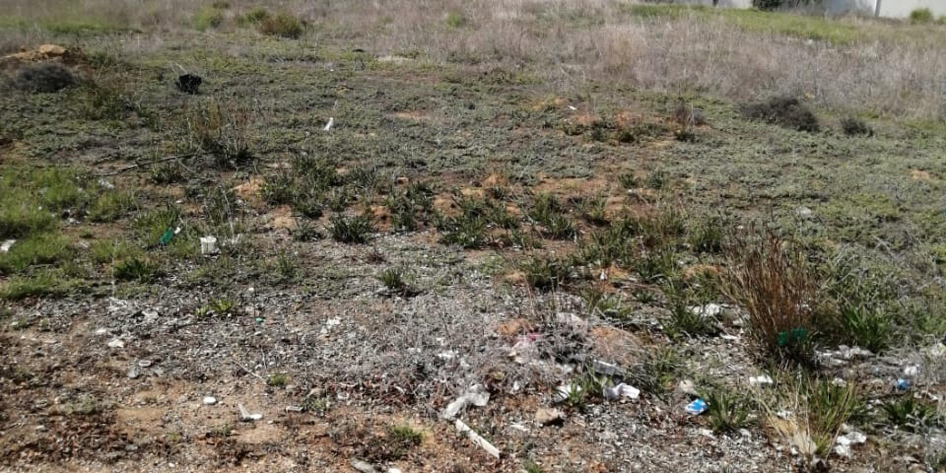 Image 5 of 6