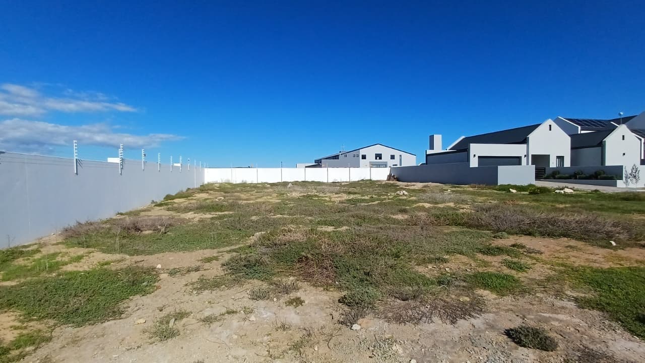 Image 4 of 6