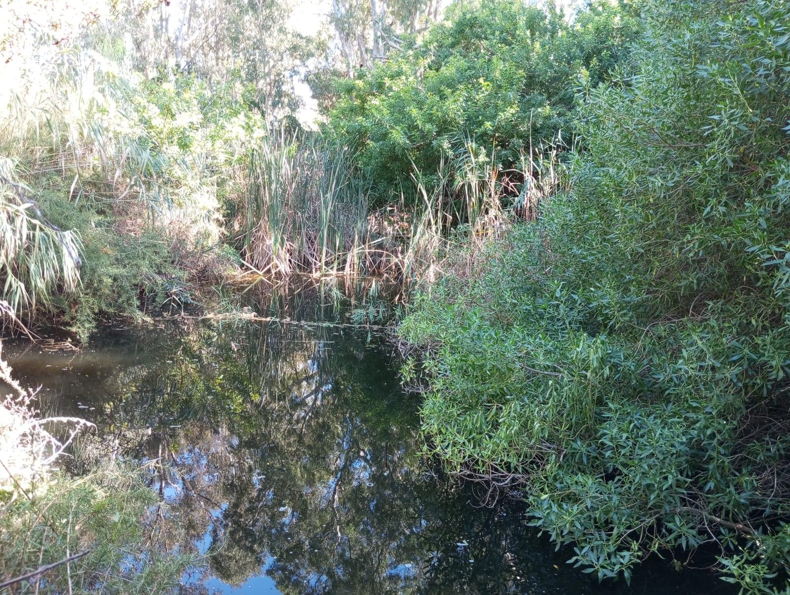 Image 46