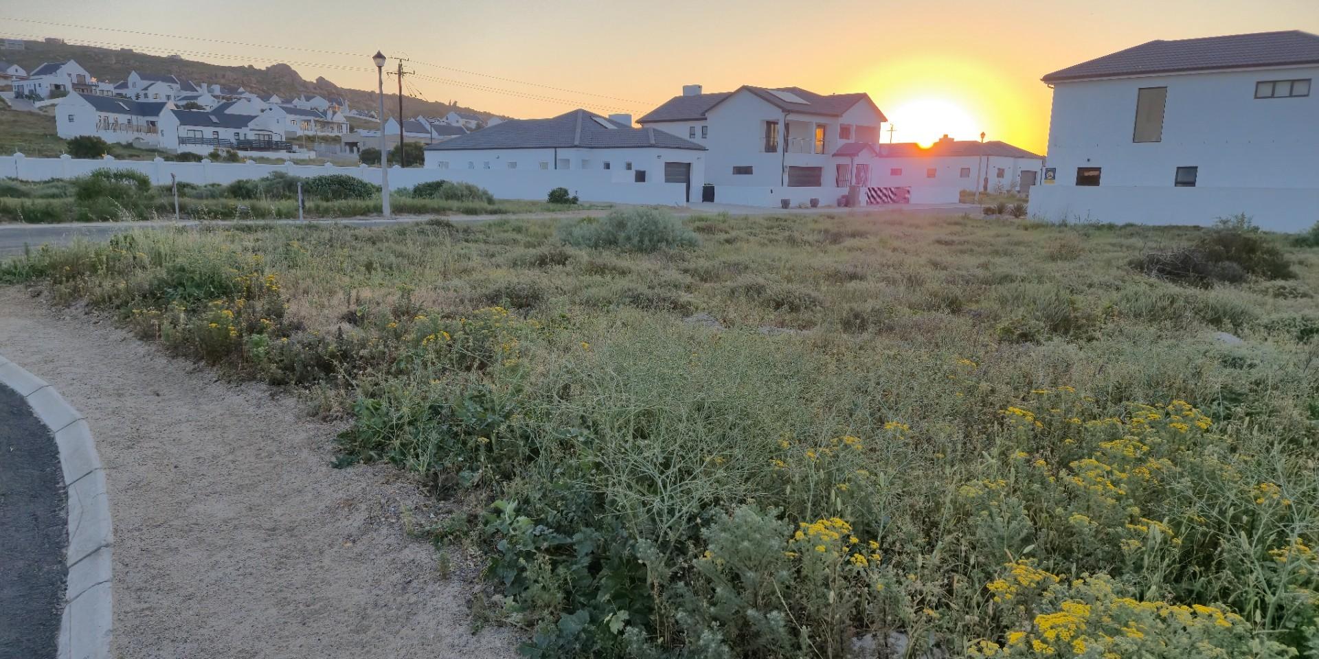 Image 4 of 6