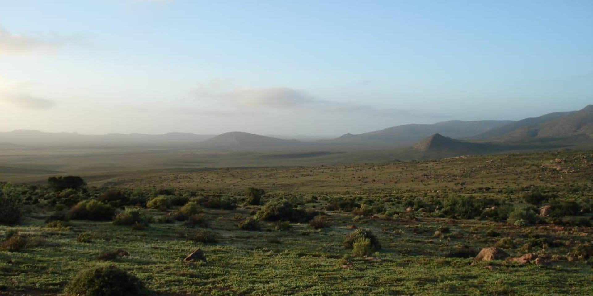 Image 5 of 6