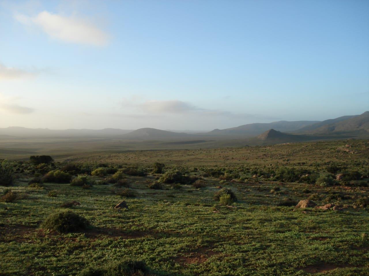 Image 5 of 6