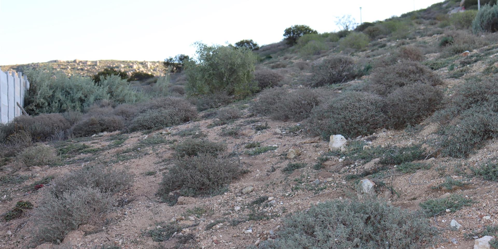 Image 5 of 6