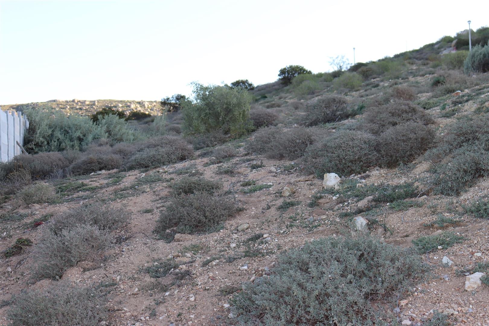 Image 5 of 6