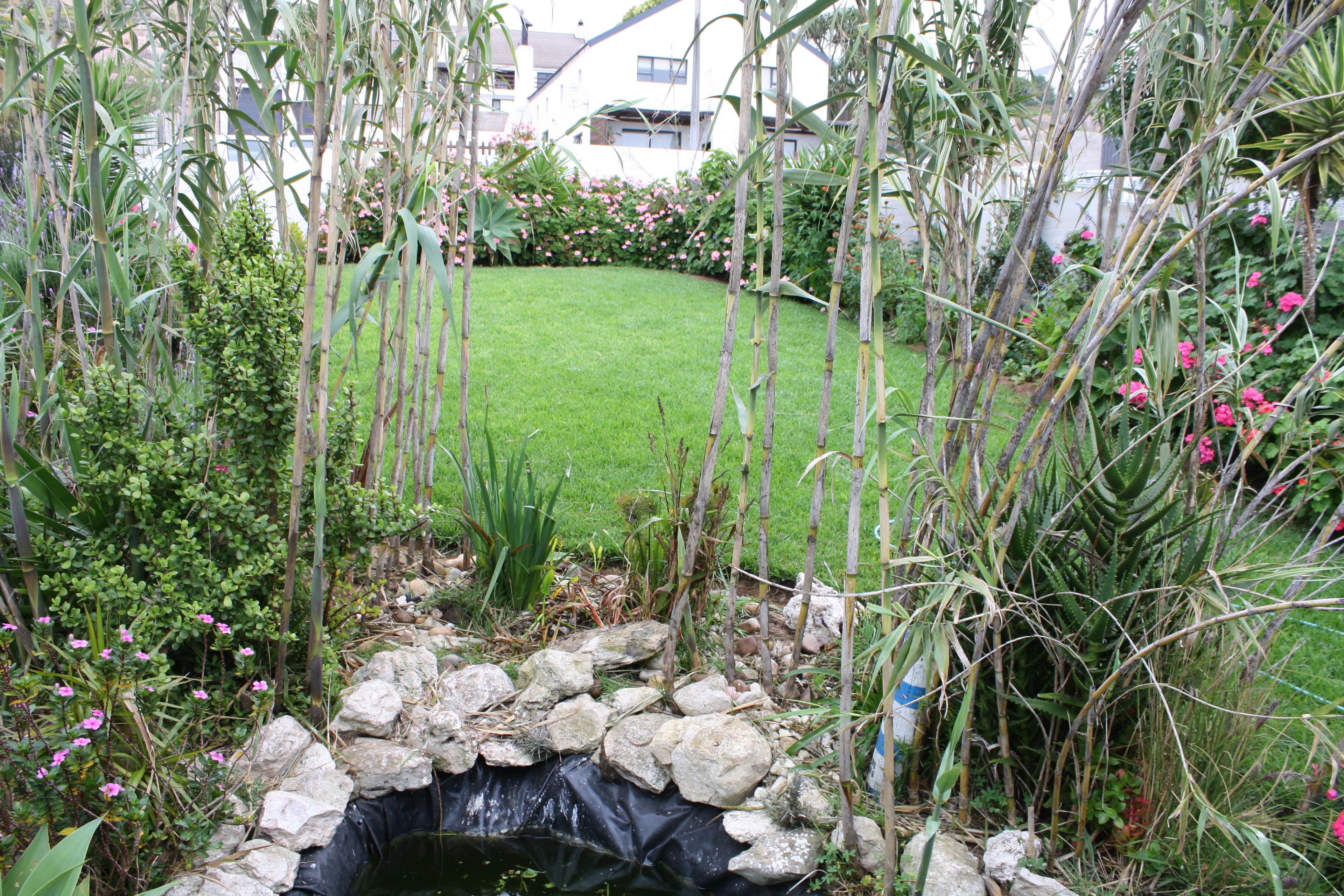 Image 33