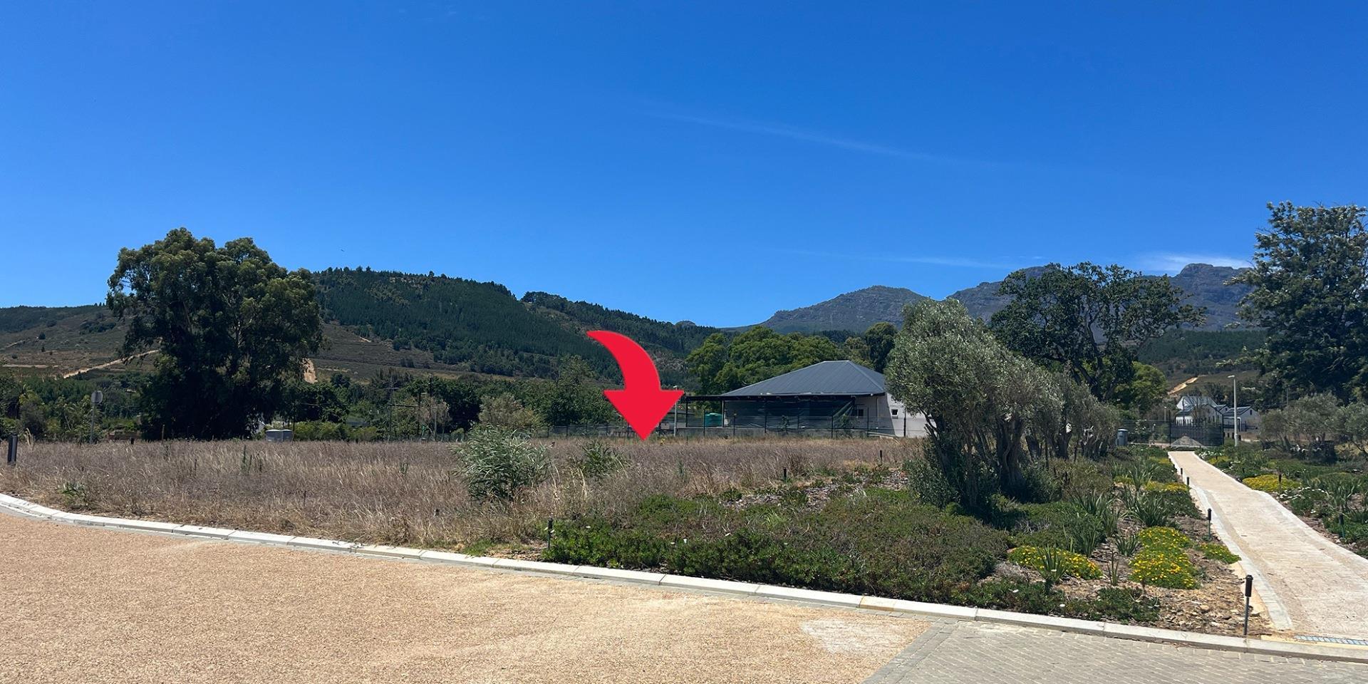 Image 4 of 6