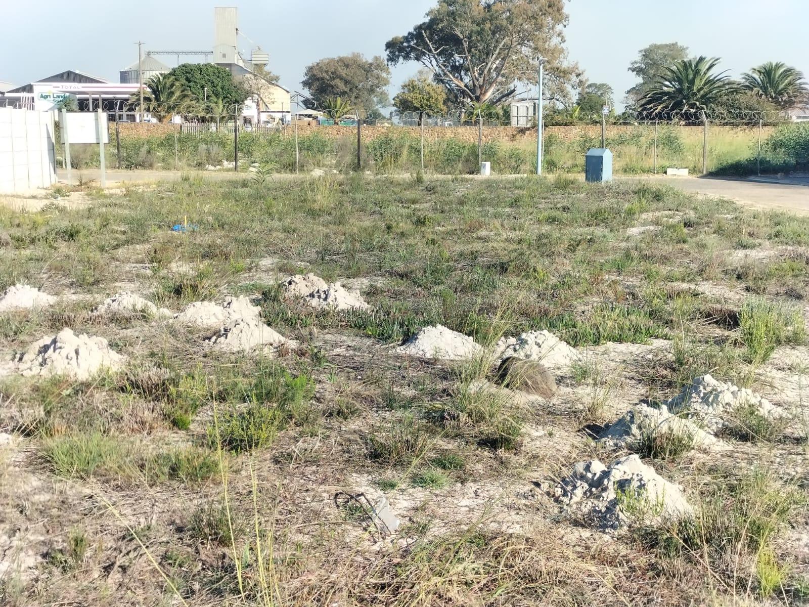 Image 10