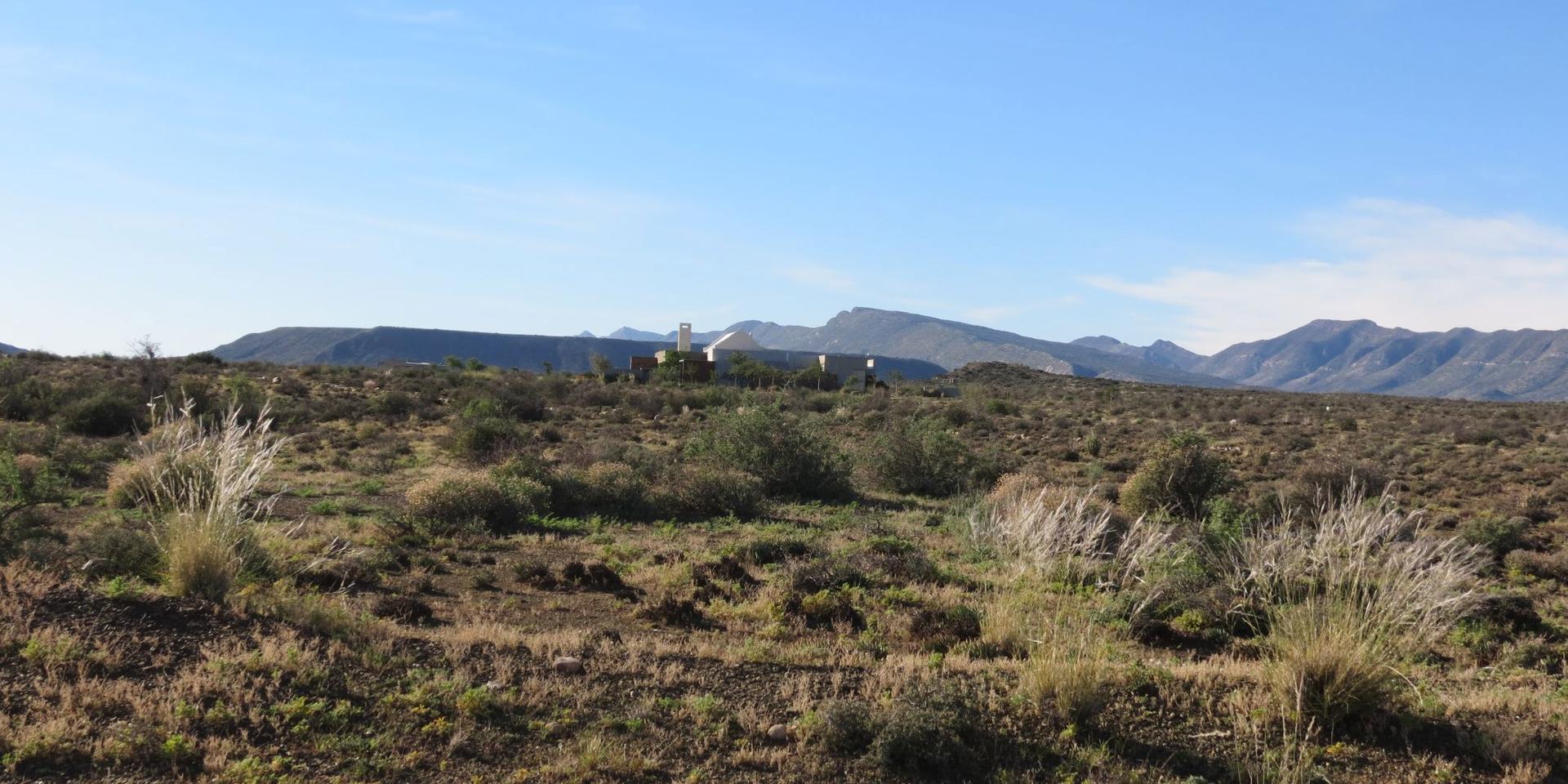 Image 5 of 6