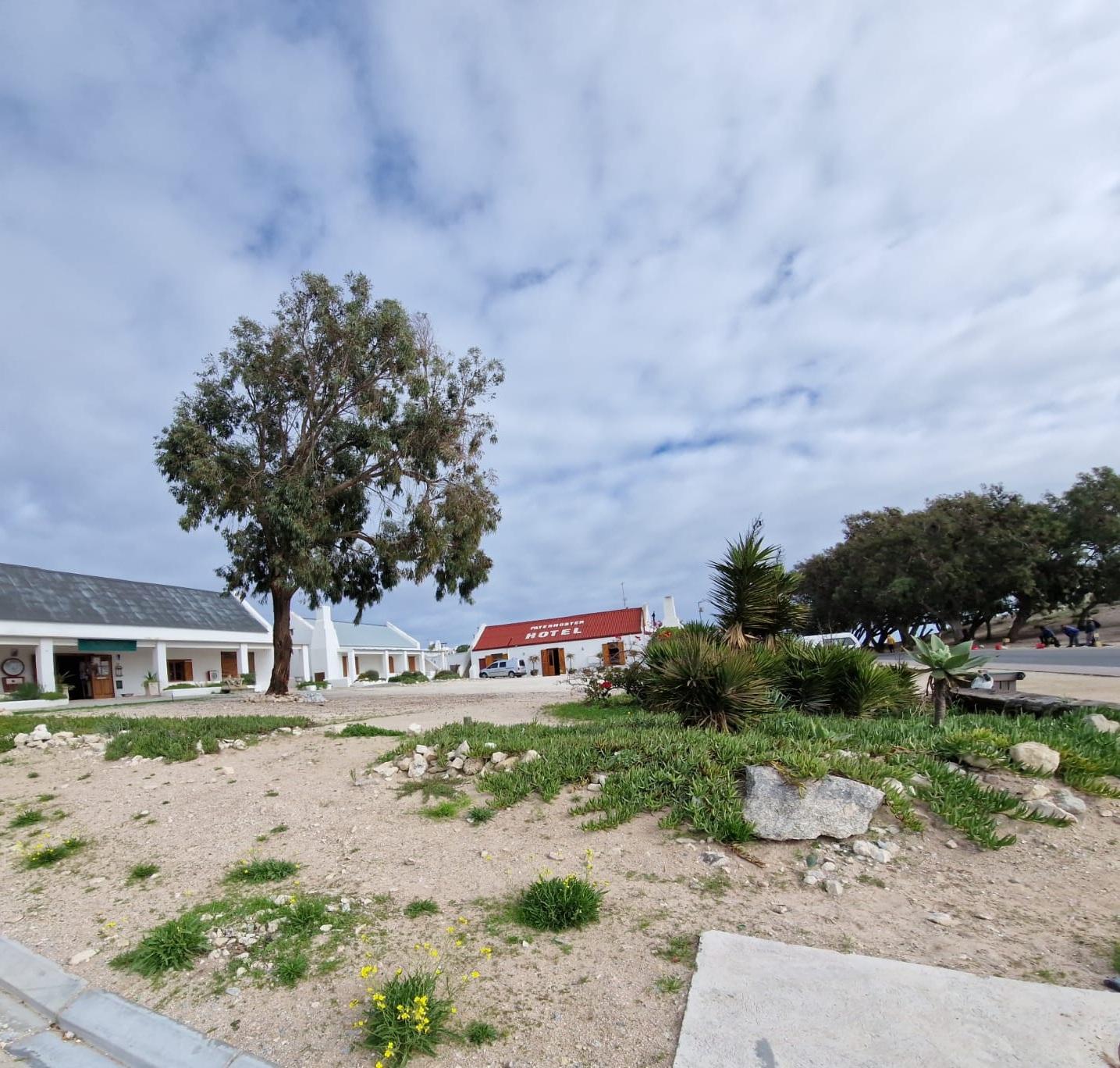 Image 12