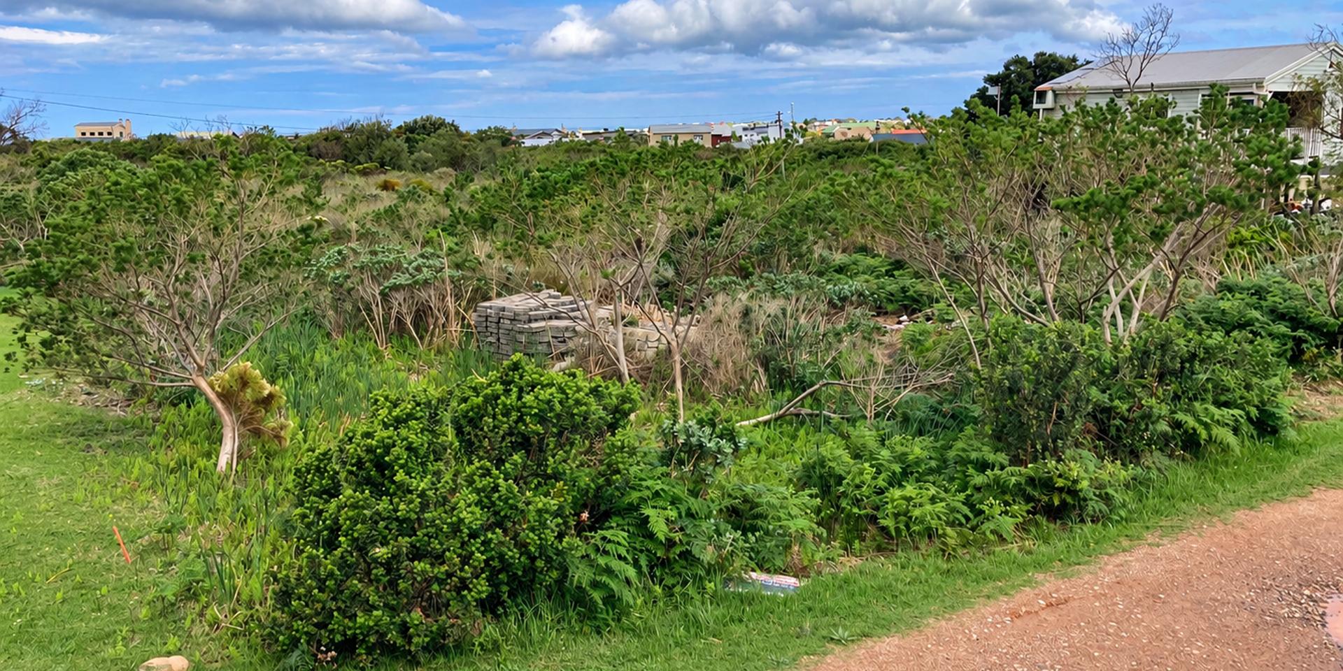 Image 2 of 6