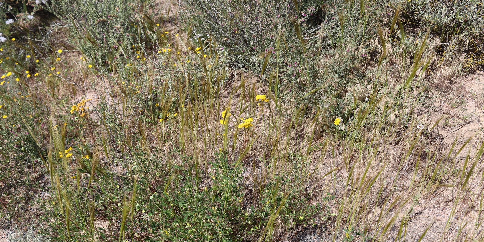 Image 5 of 6