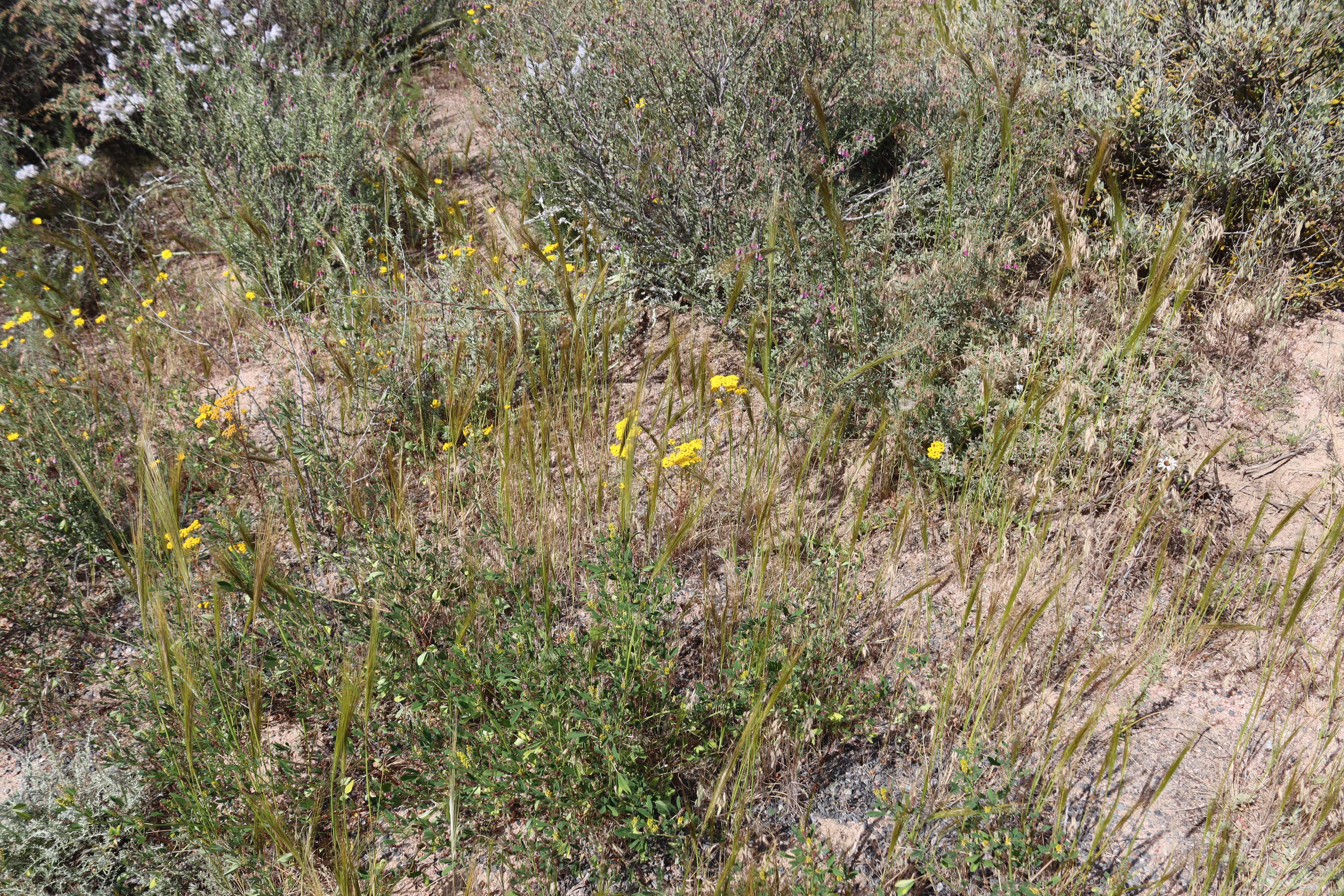 Image 5 of 6