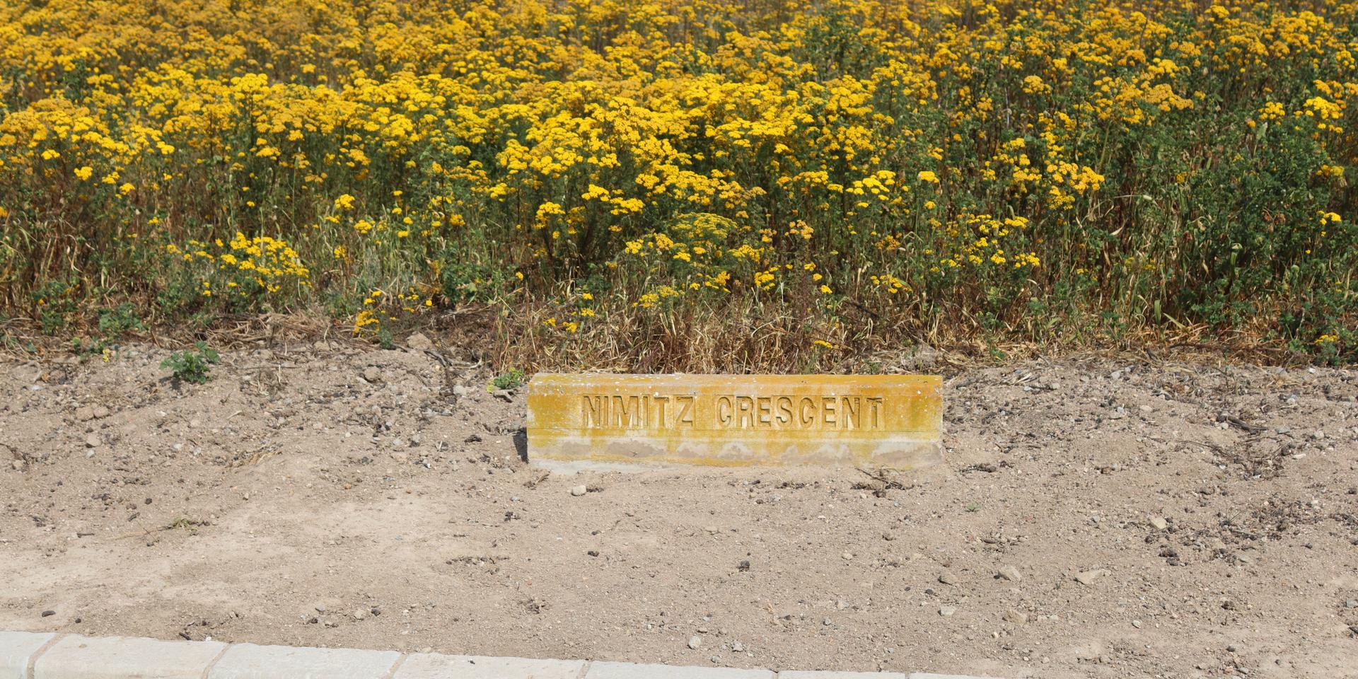 Image 2 of 6
