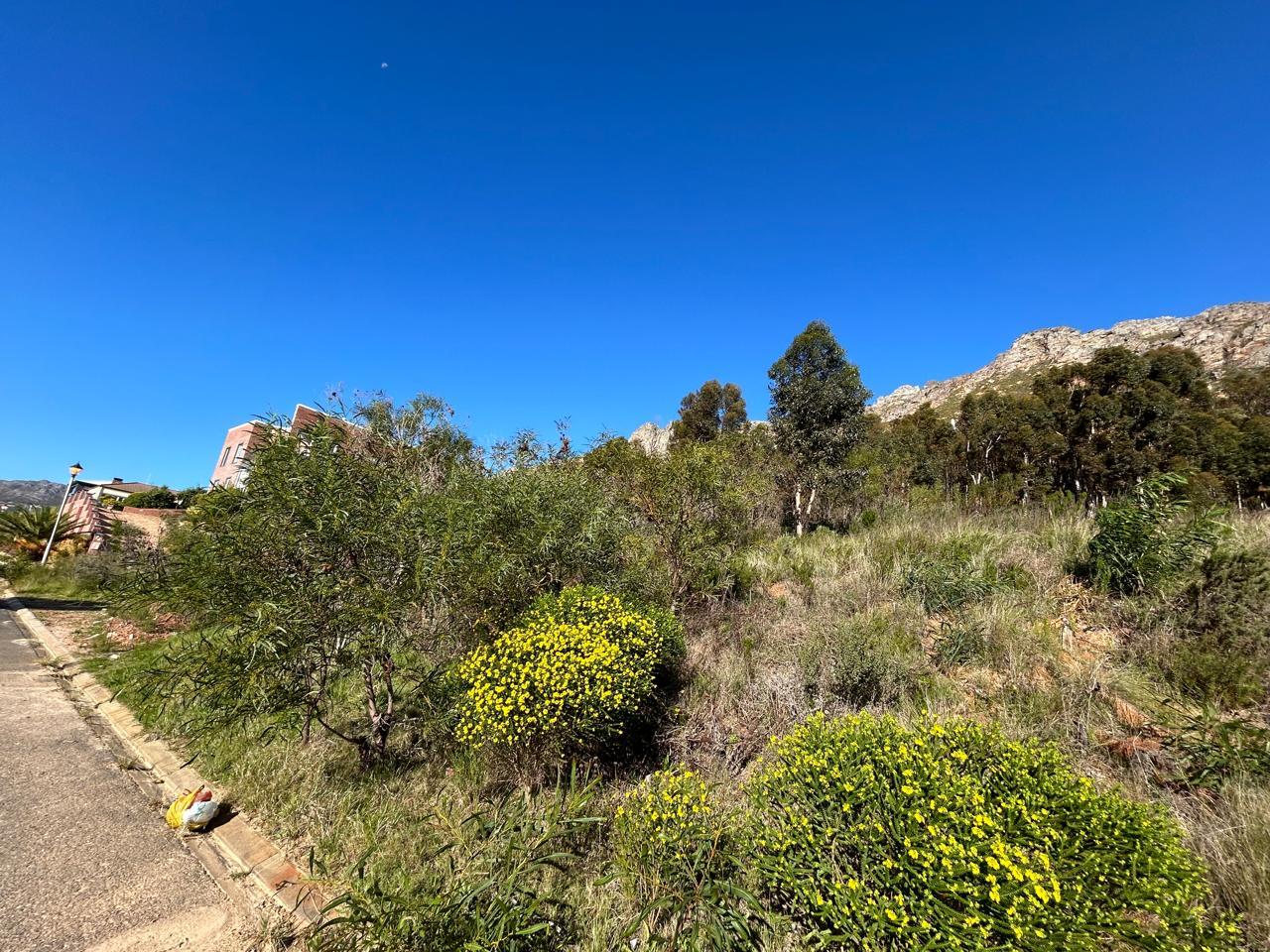 Image 3 of 6