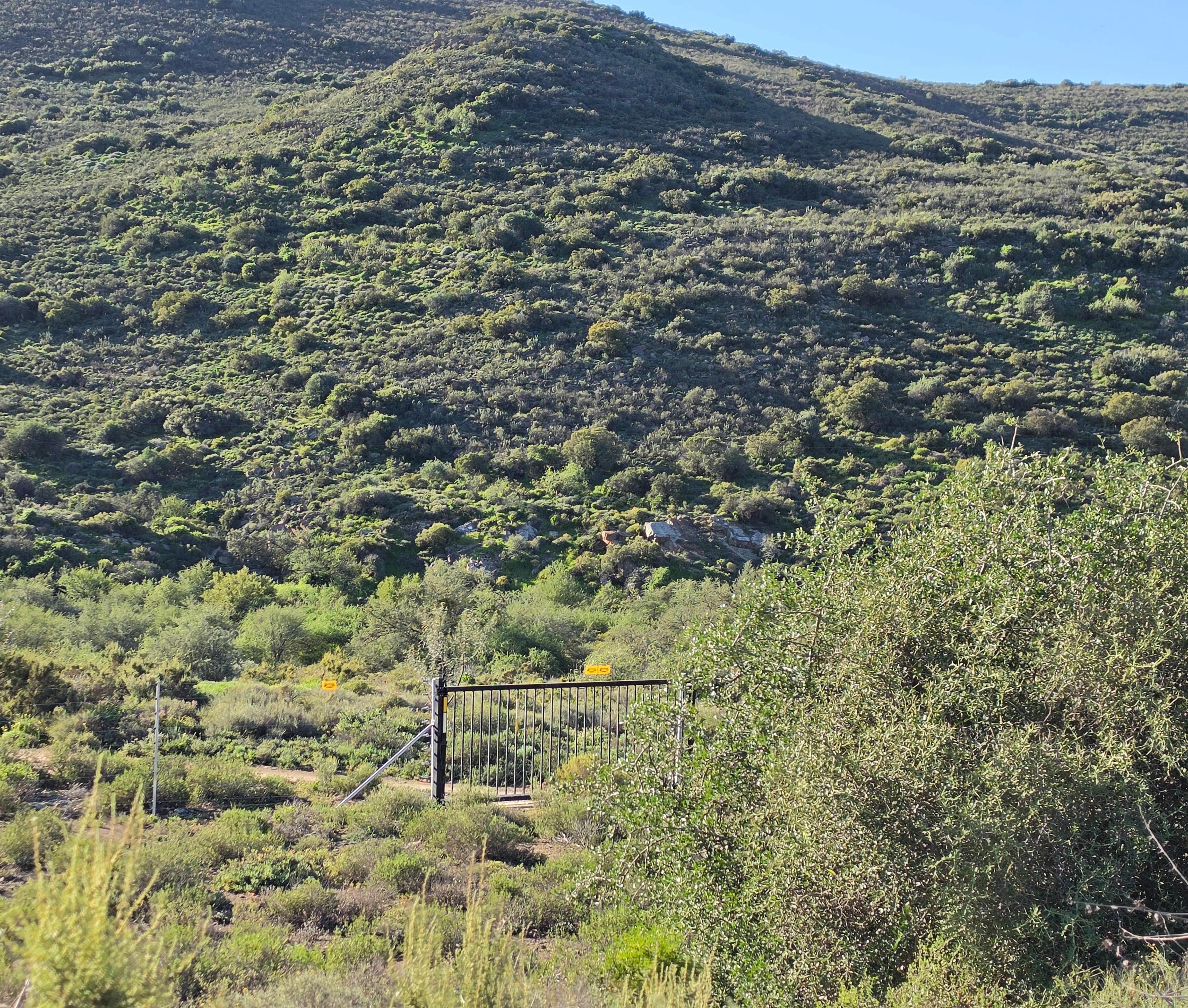 Image 5 of 6