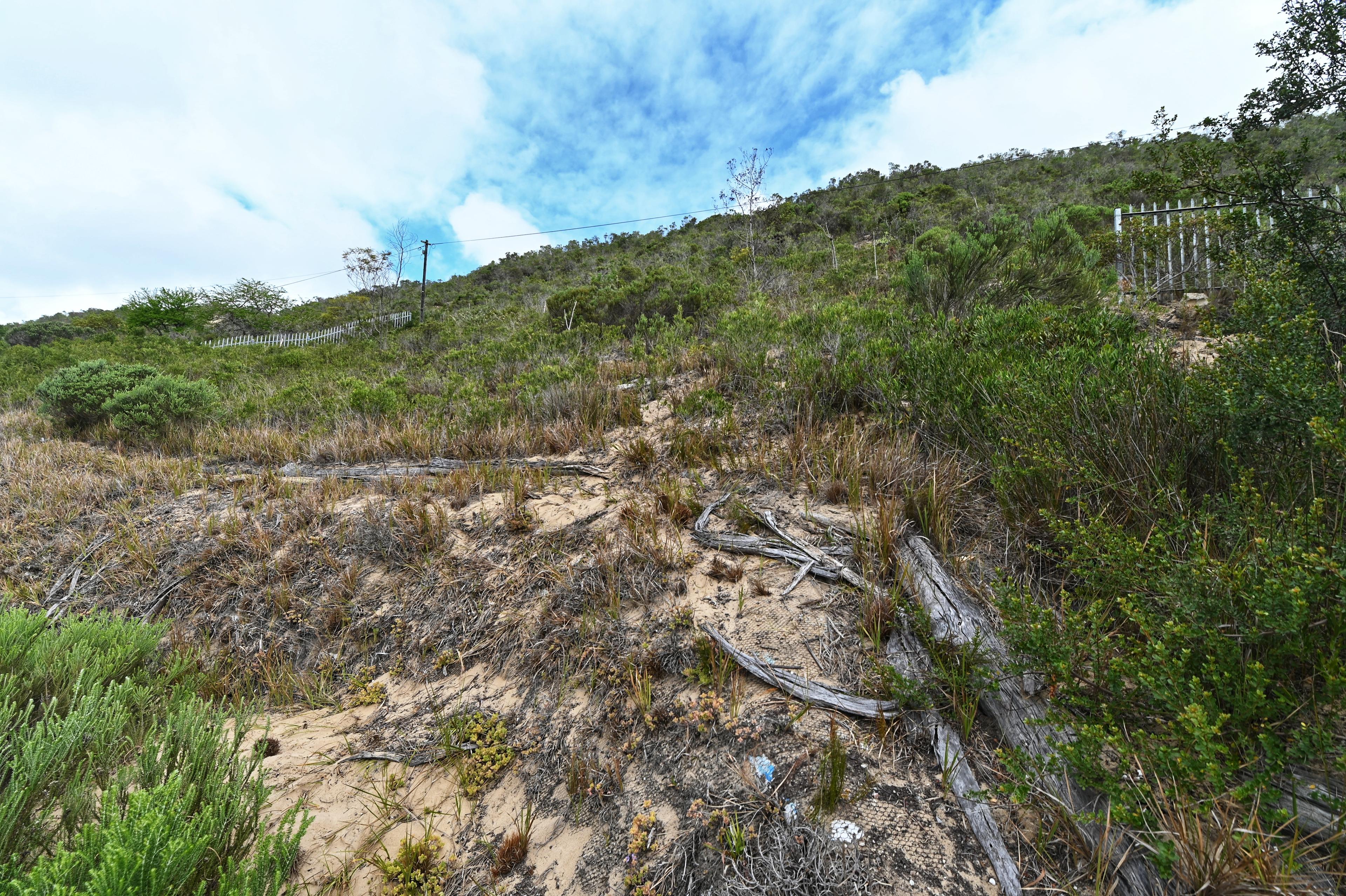 Image 10