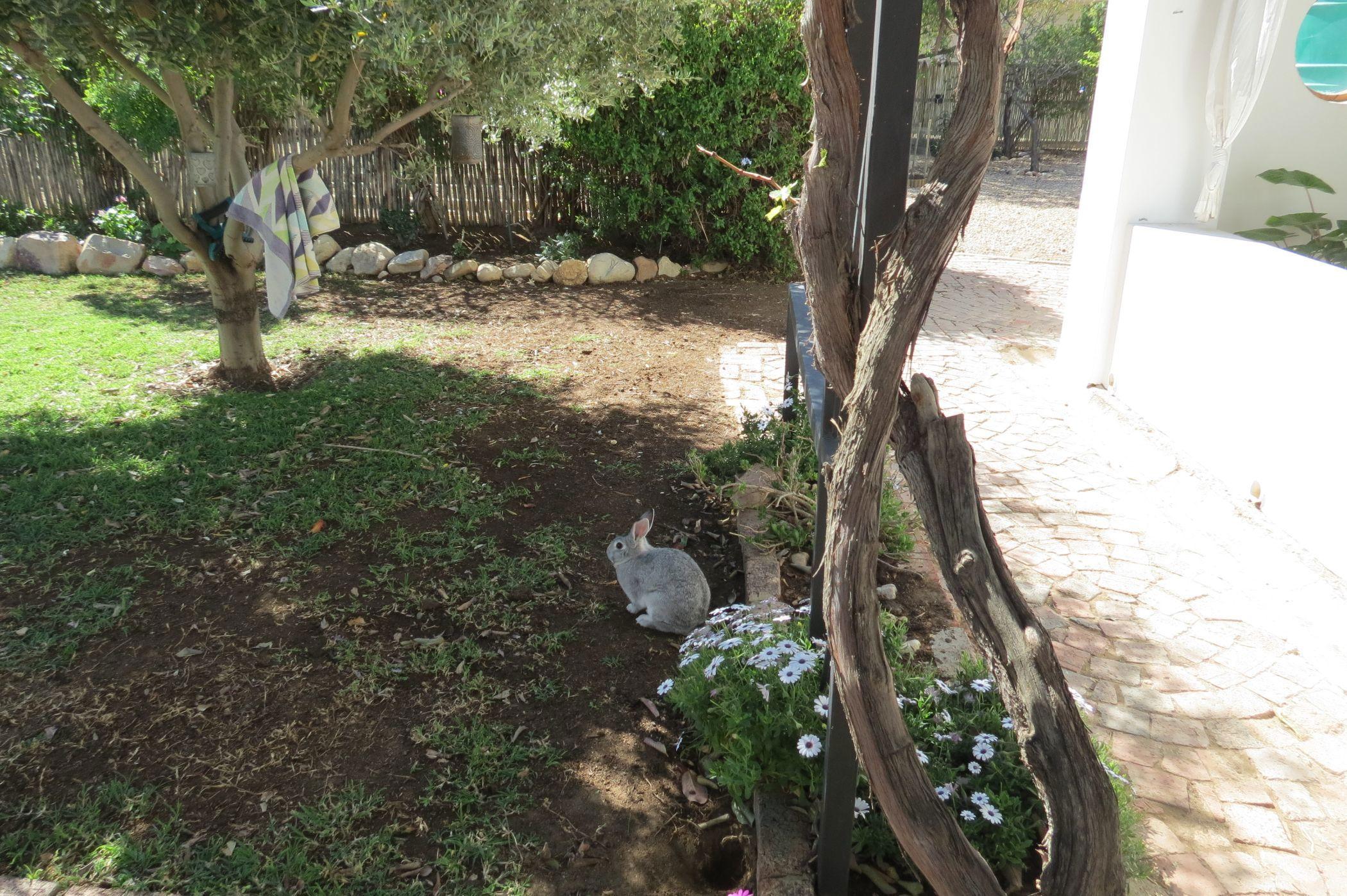 Image 31