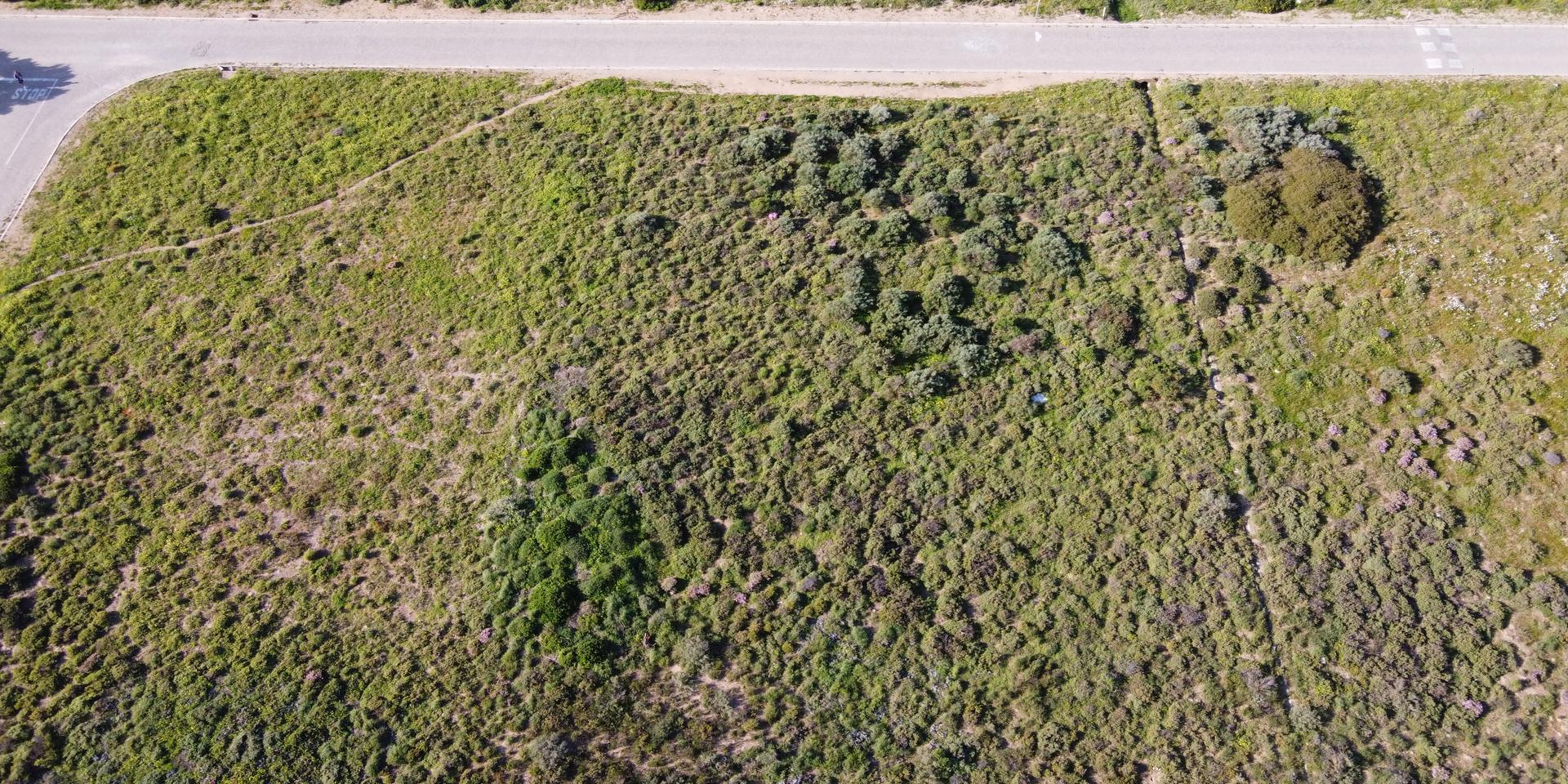 Image 4 of 6