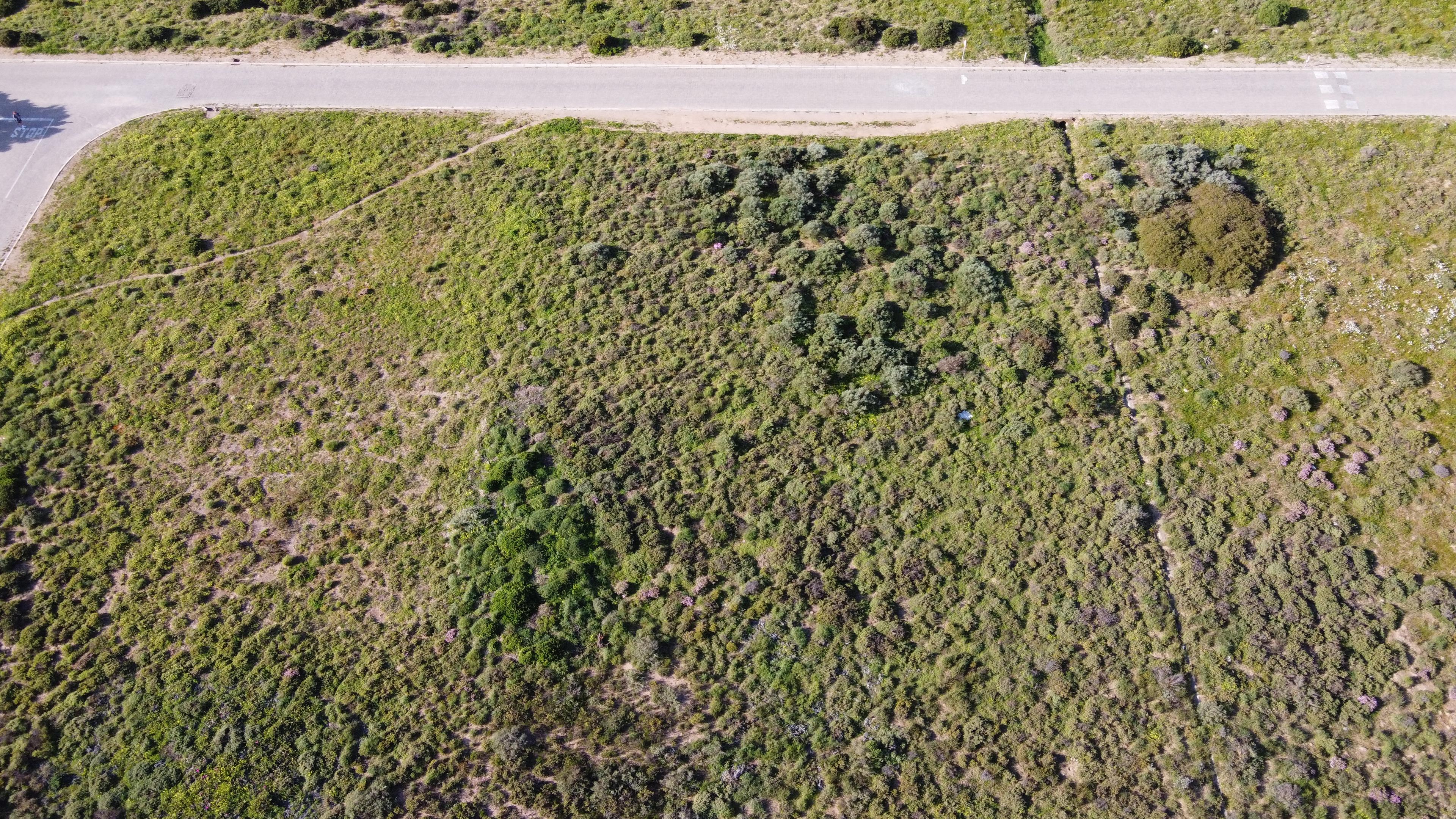 Image 4 of 6