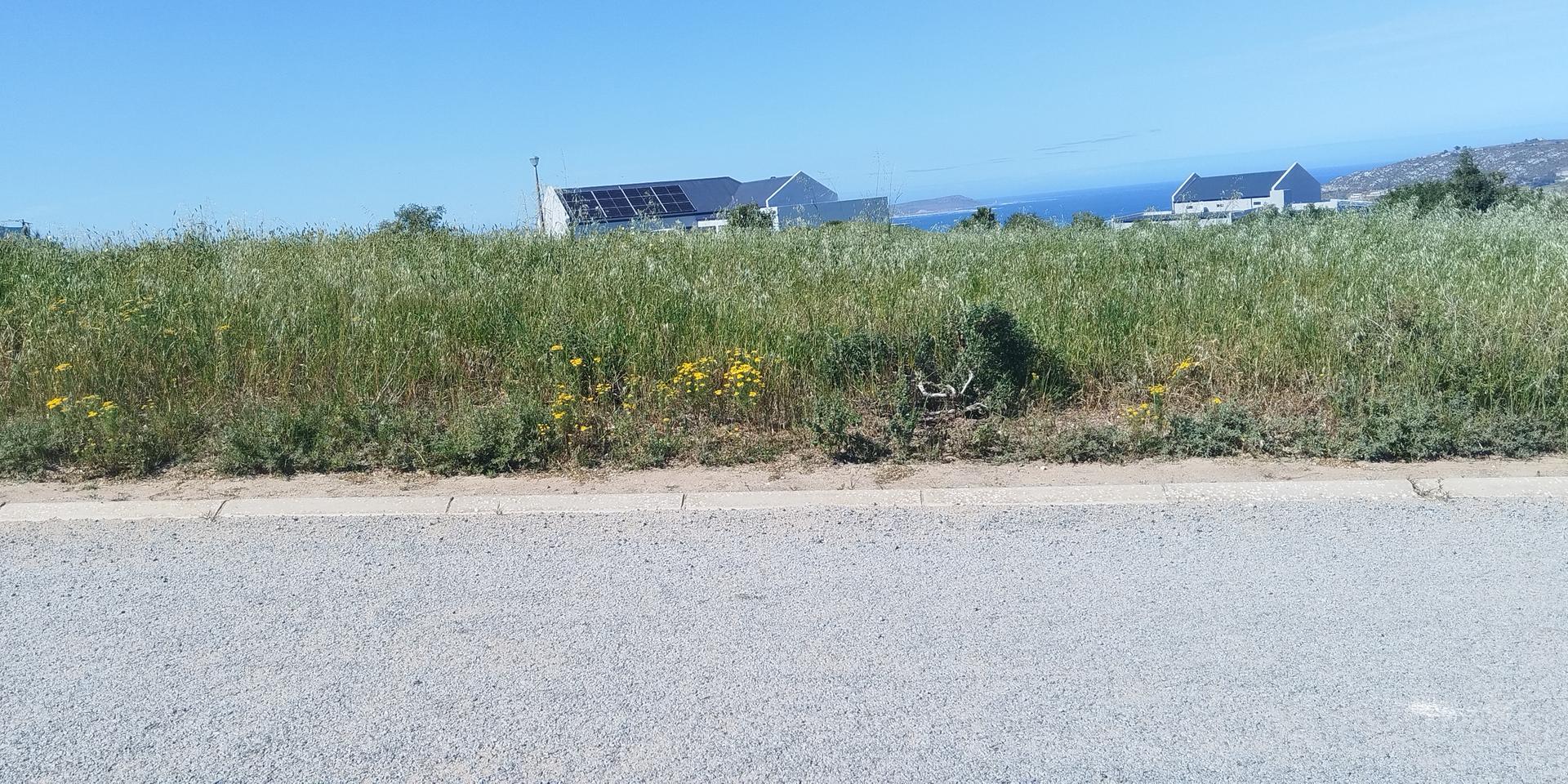 Image 3 of 6