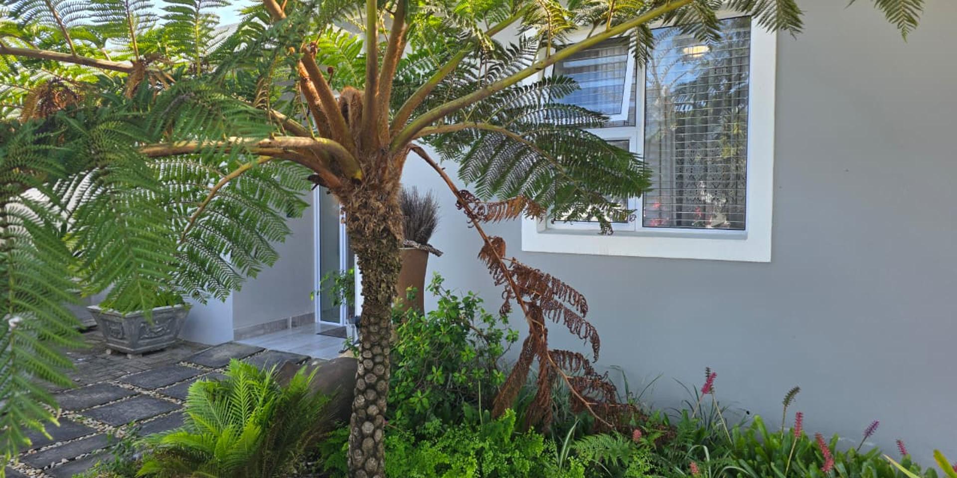 Image 2 of 6