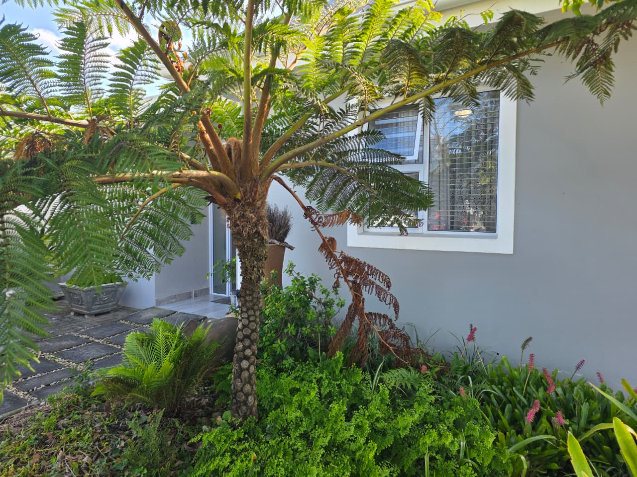 Image 2 of 6