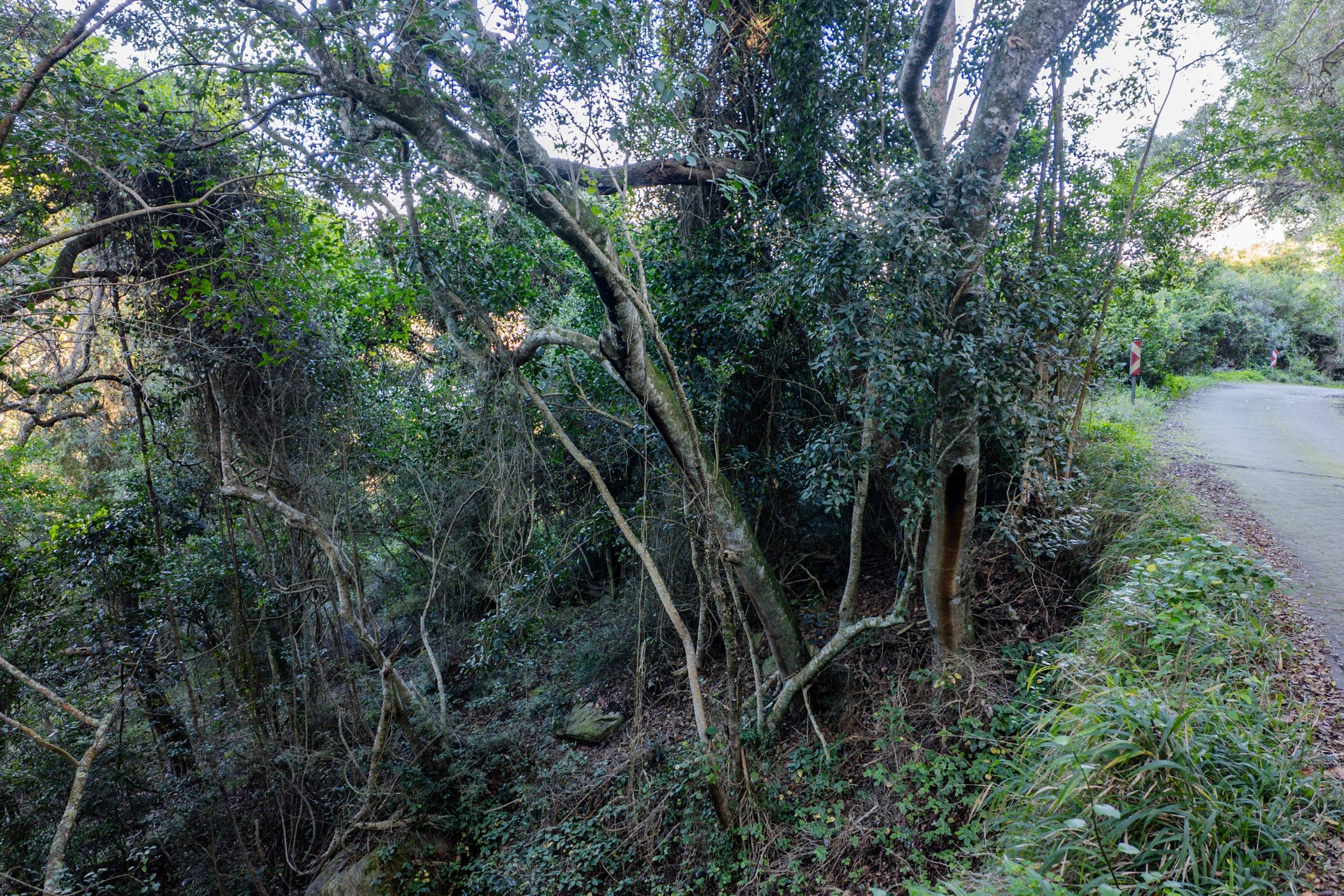 Image 11