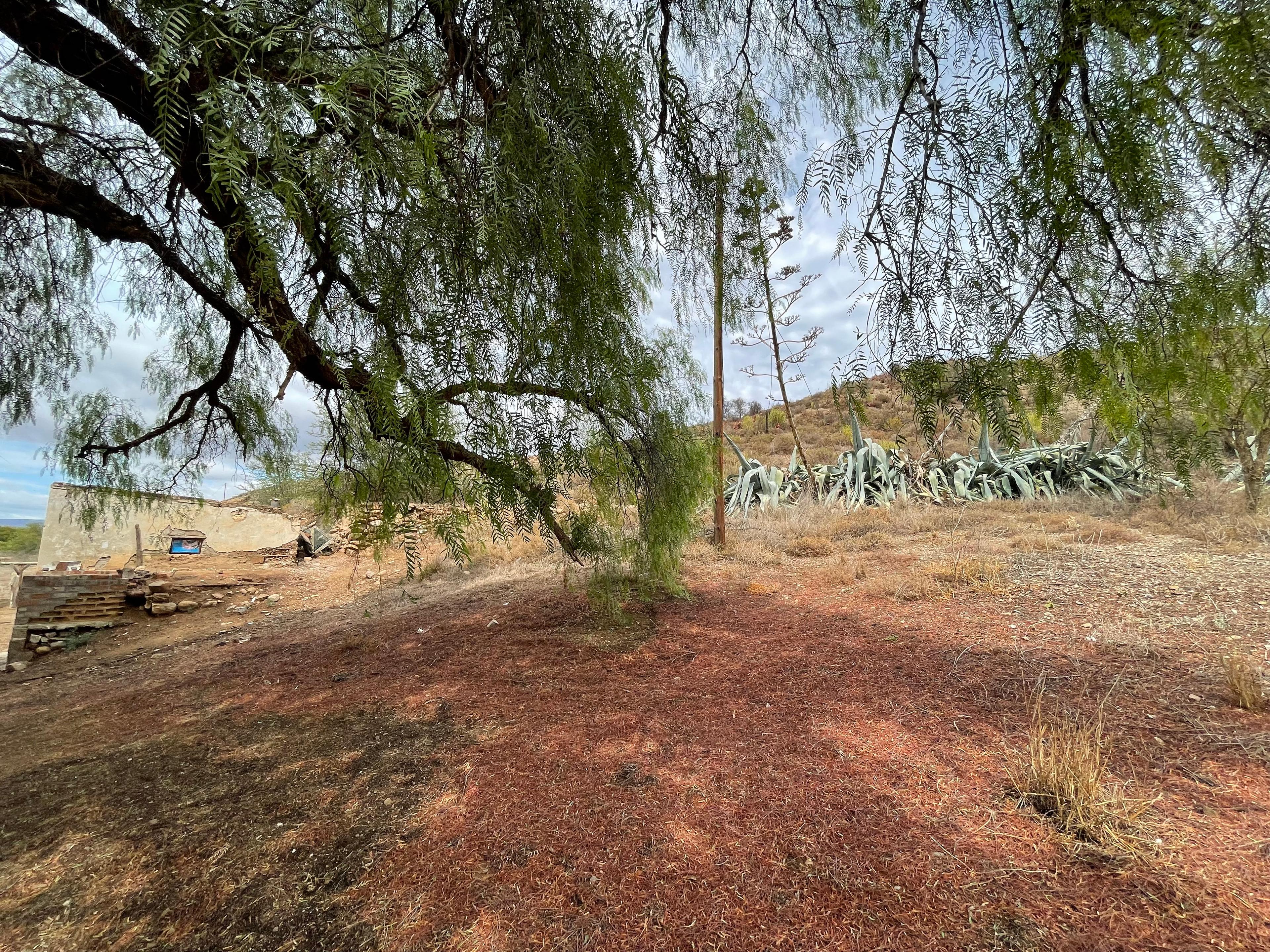 Image 9