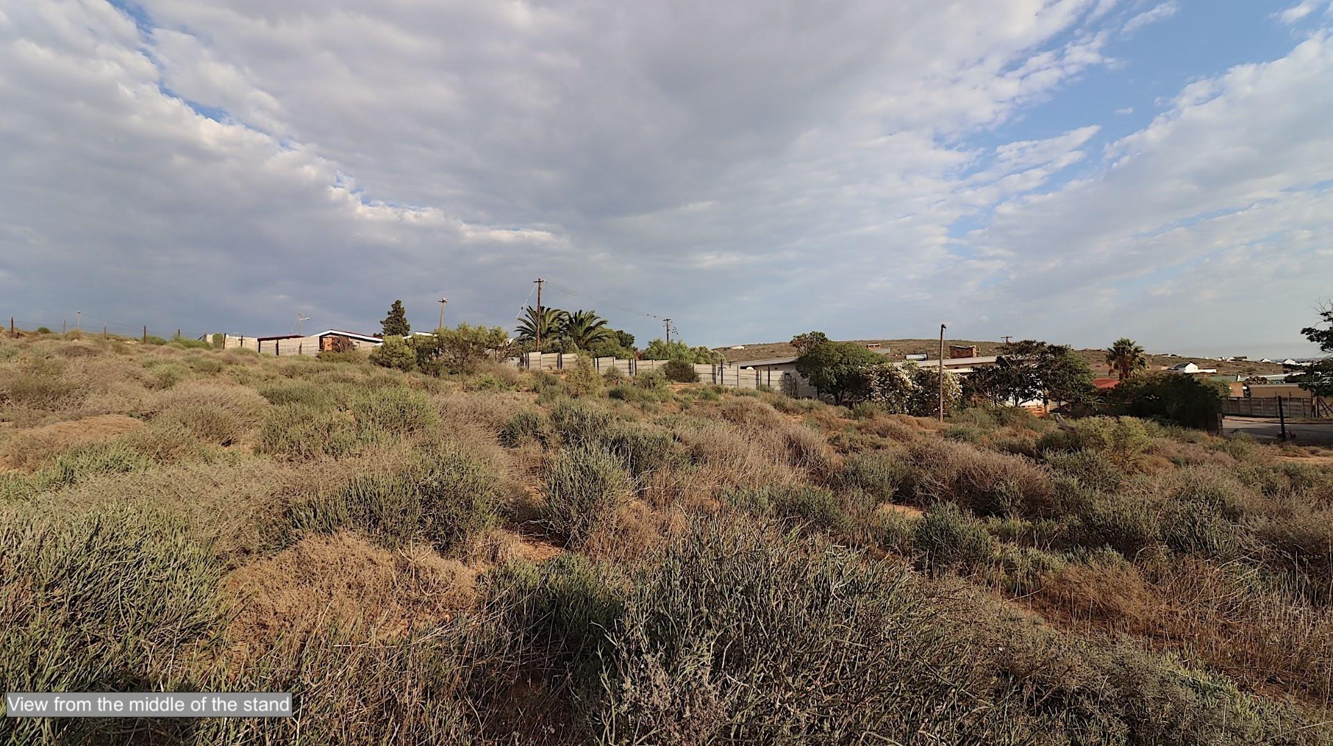 Image 13