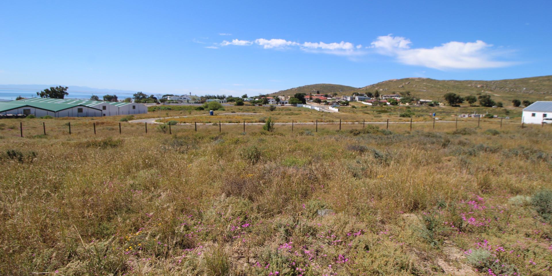 Image 3 of 6