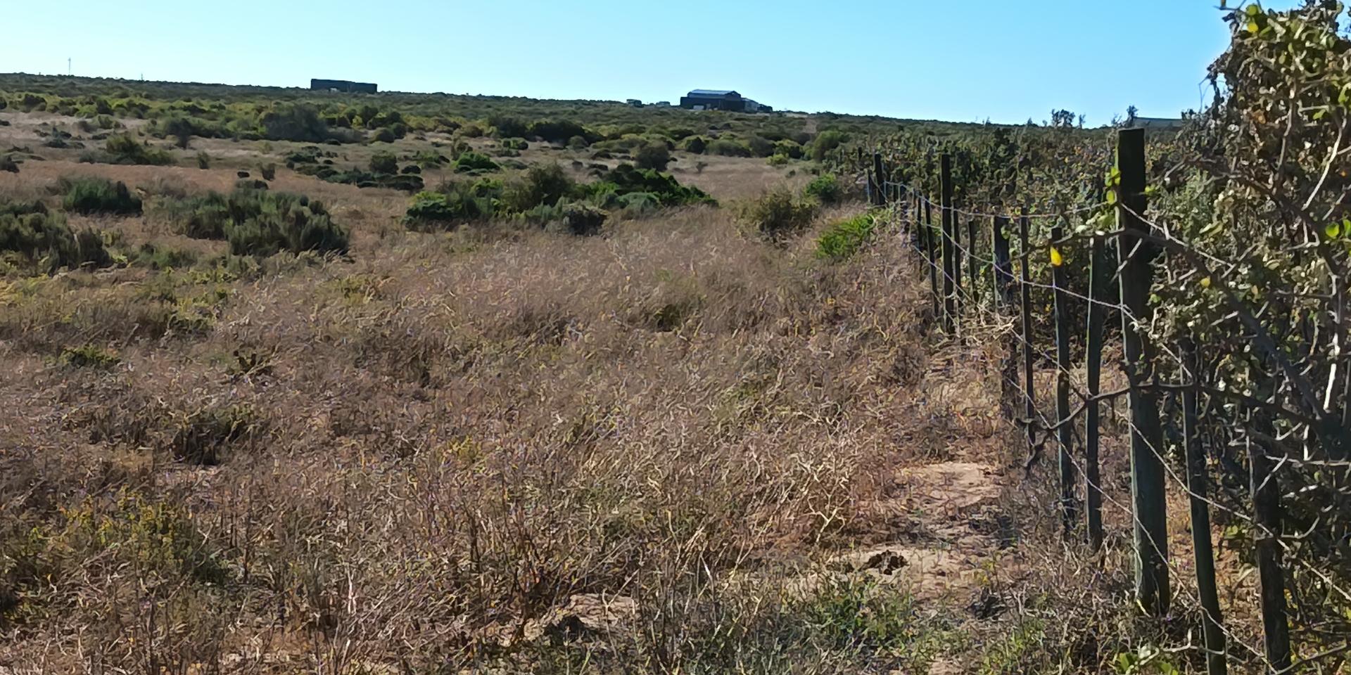 Image 5 of 6