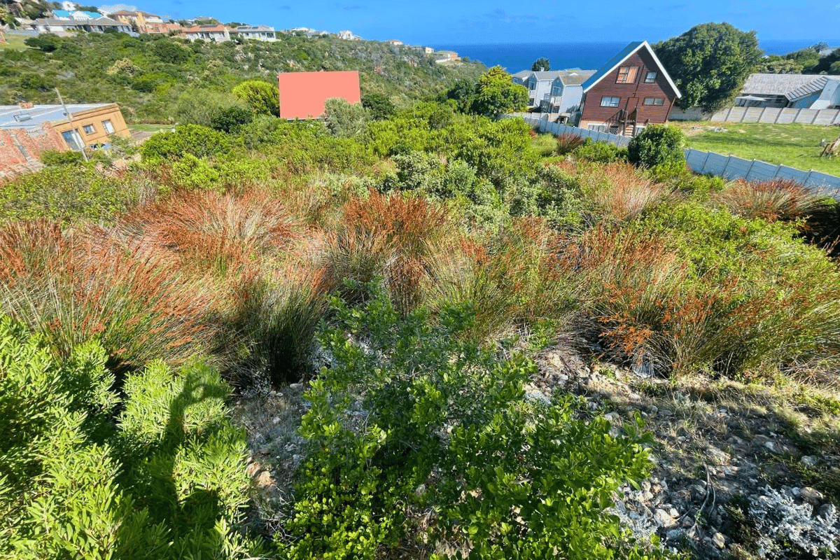 Image 5 of 6