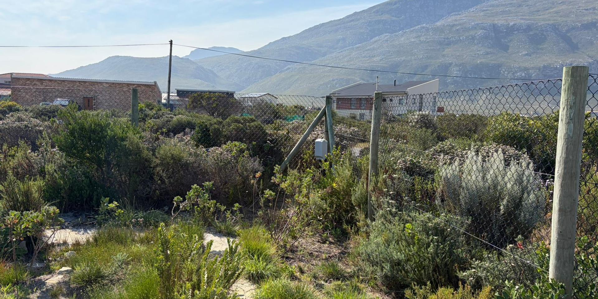 Image 3 of 6