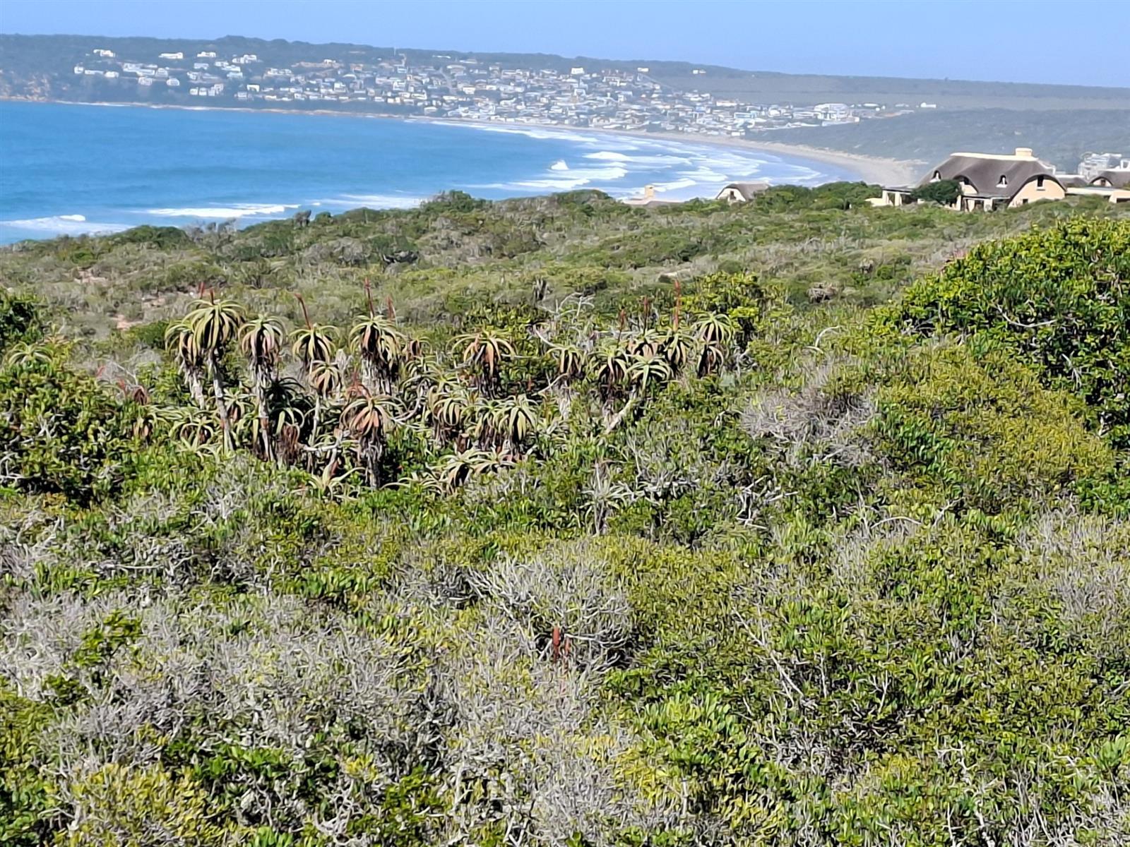 Image 15