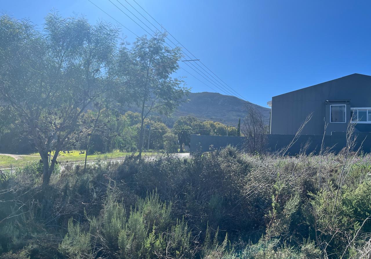 Image 13