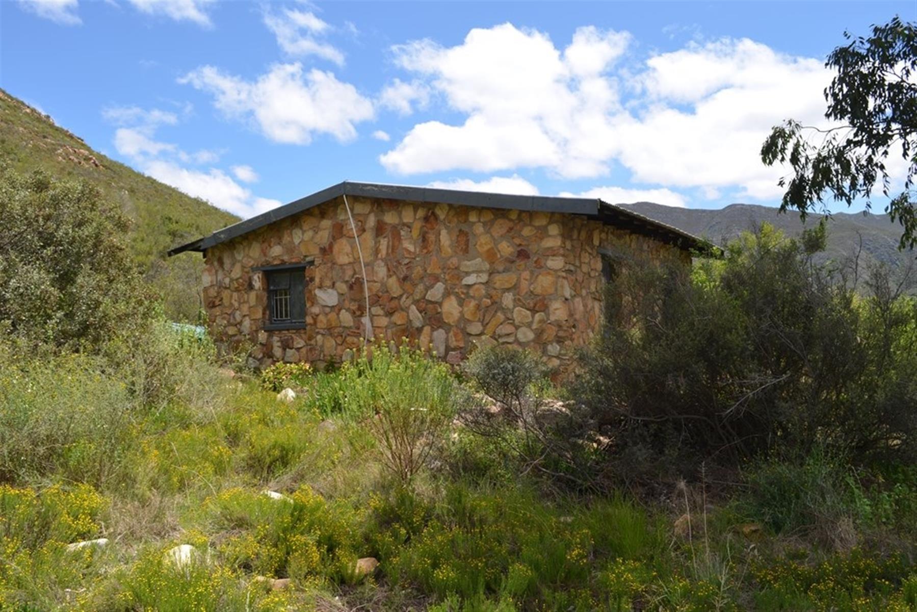 Image 5 of 6