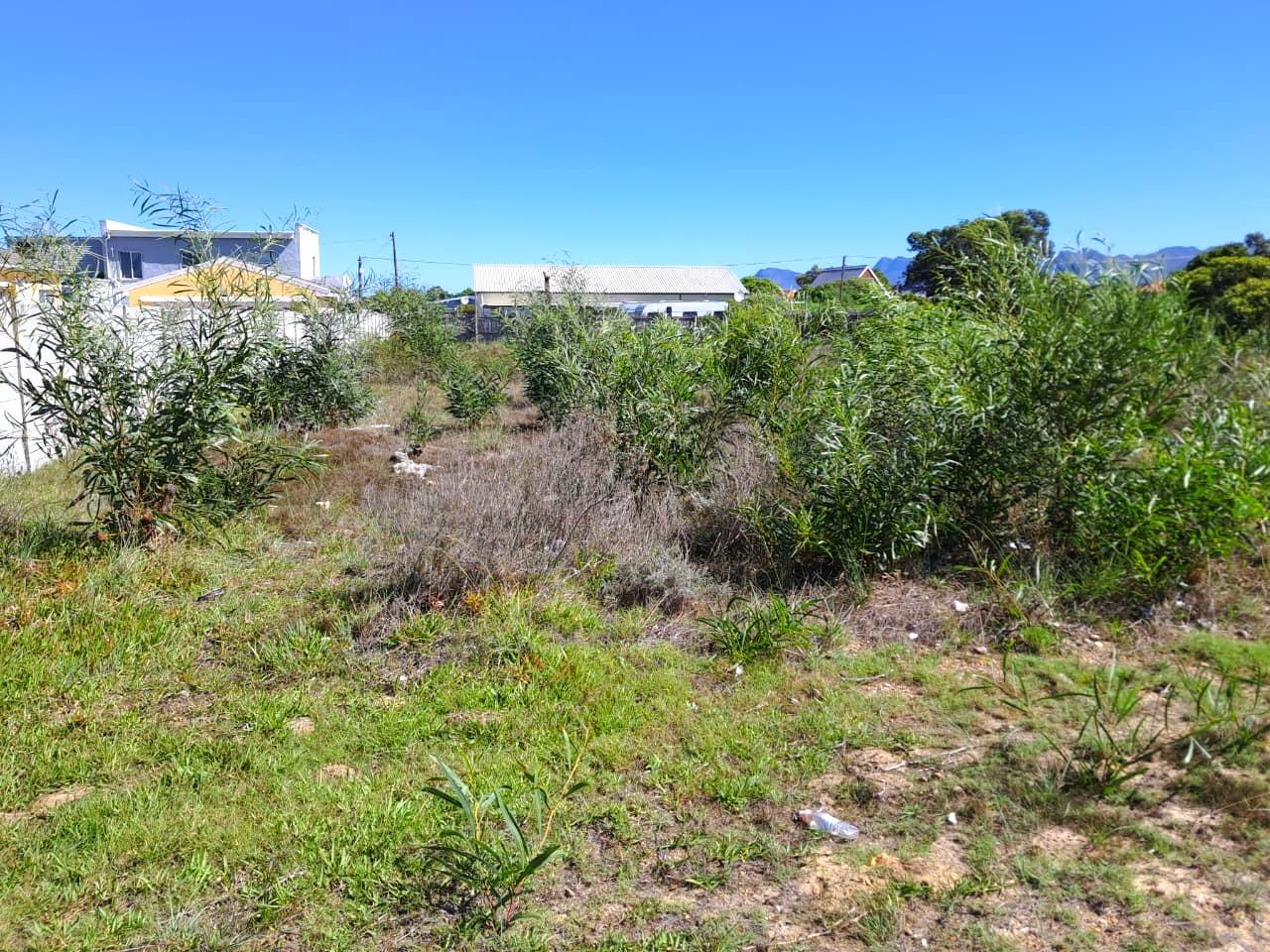 Image 2 of 6