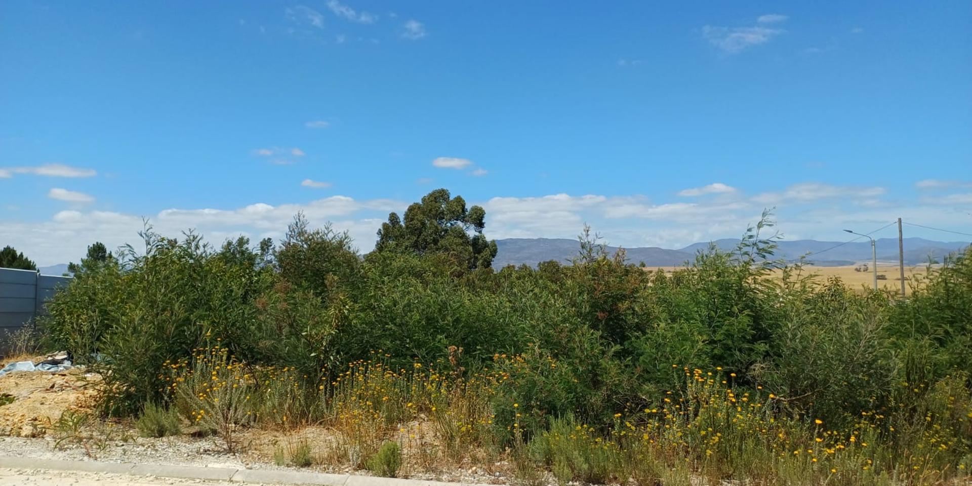 Image 3 of 6