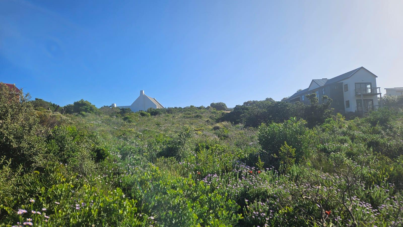 Image 4 of 6