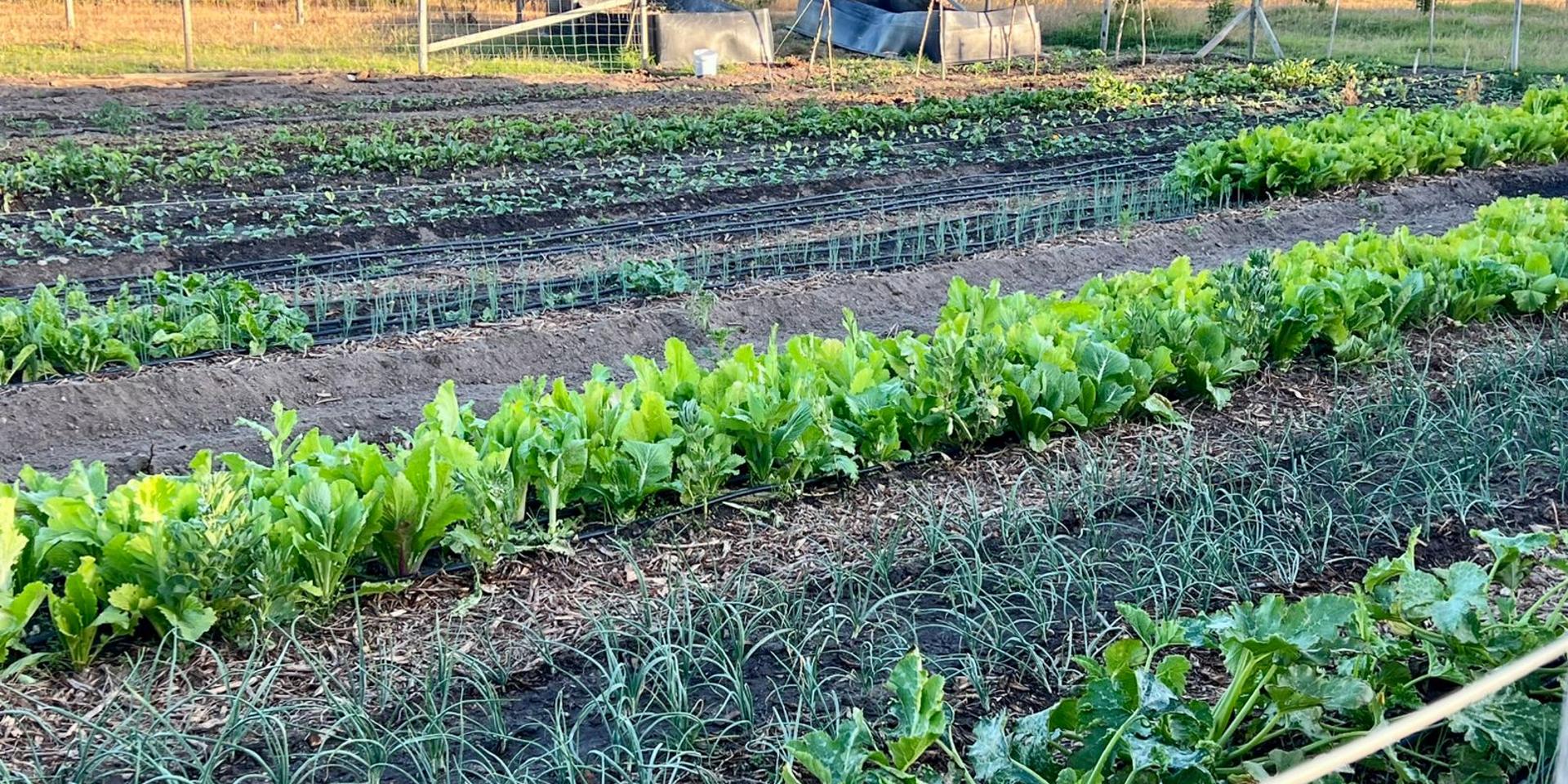 Image 4 of 6