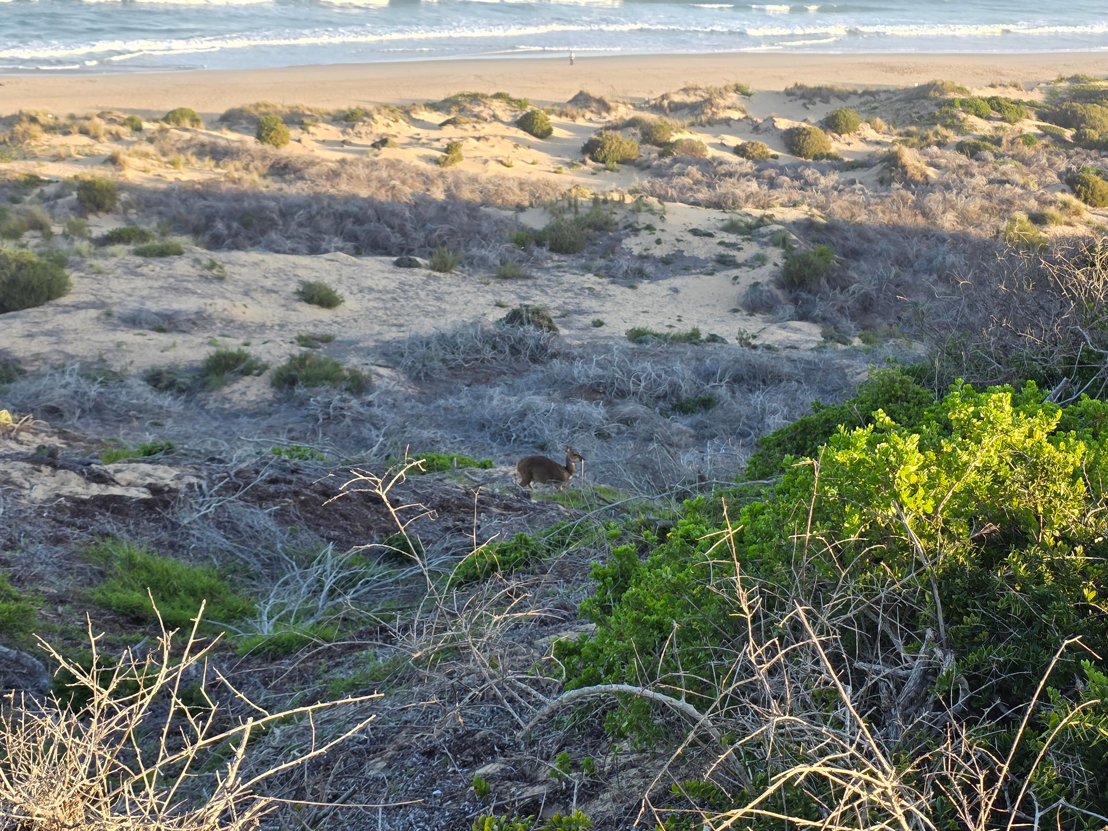 Image 6