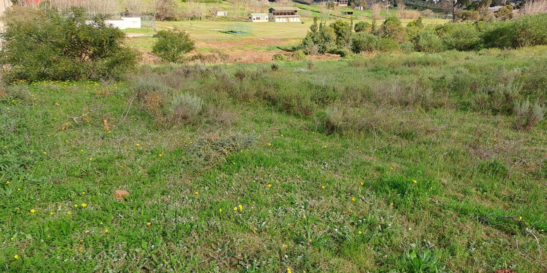 Image 2 of 6